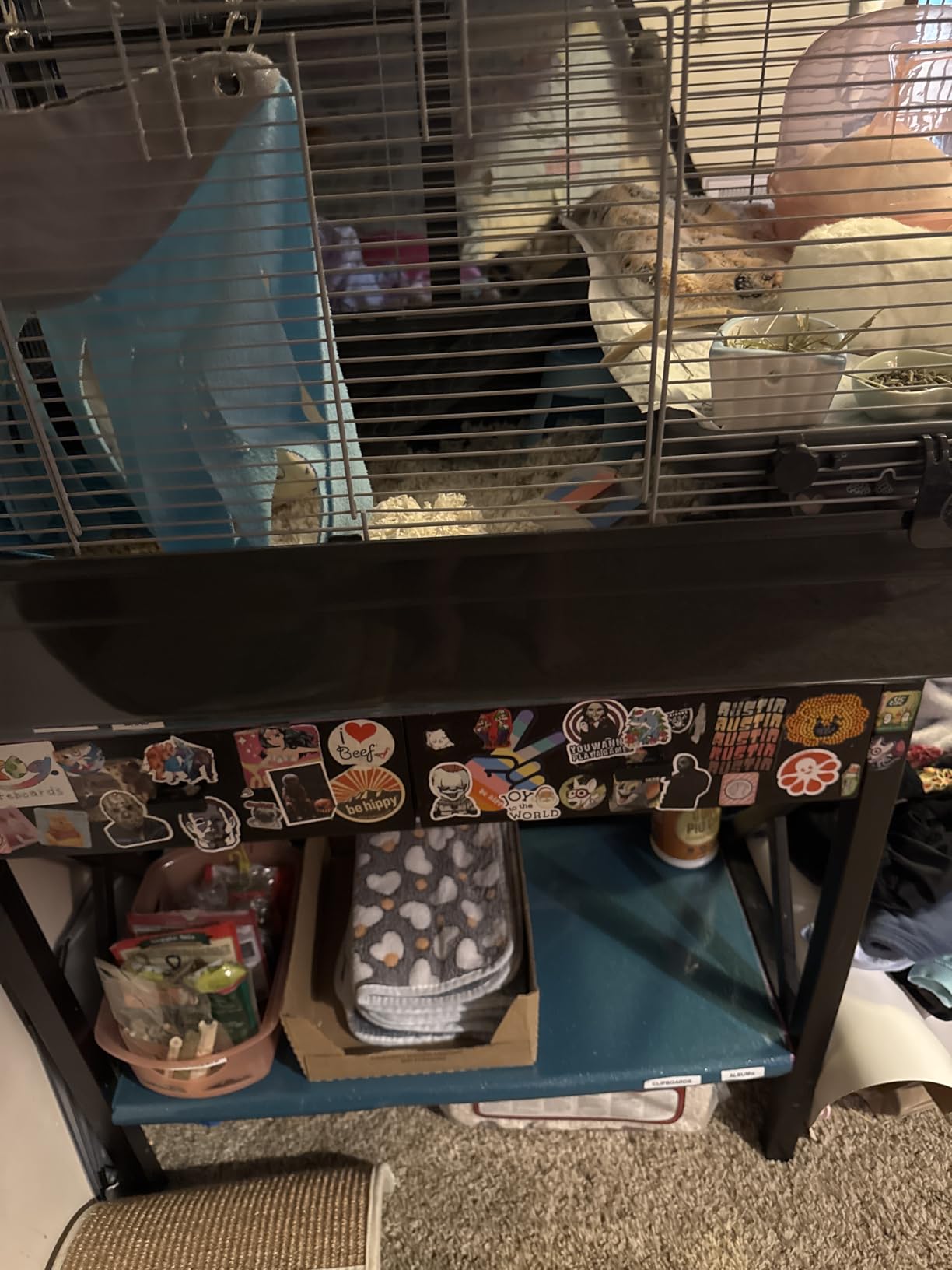 Prevue Pet Products Universal Small Animal Home - Small Animal Cage for Hamsters, Guinea Pigs, Ferrets, Dwarf Rabbits, Rats, Chinchillas, Hedgehogs, Indoor Use, Tight Wire Spacing - Gray customer photo 1