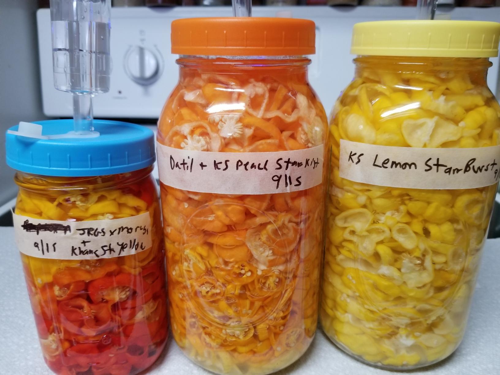 Jillmo Fermentation Lids for Wide Mouth Mason Jars, Stainless Steel Auto Venting Fermenting Lid Kit with Airlocks & Silicone Grommets for Pickles, Kimchi & Sauerkraut, 4 Pack customer photo 1