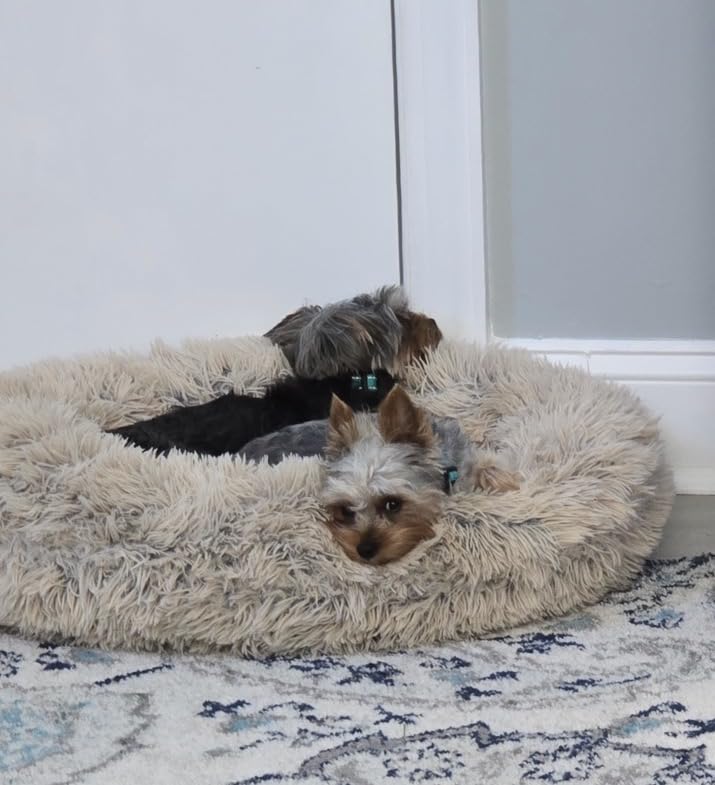 Best Friends by Sheri The Original Calming Donut Dog Bed for Large Dogs up to 100 lbs, Shag Faux Fur, Taupe, Large, 36