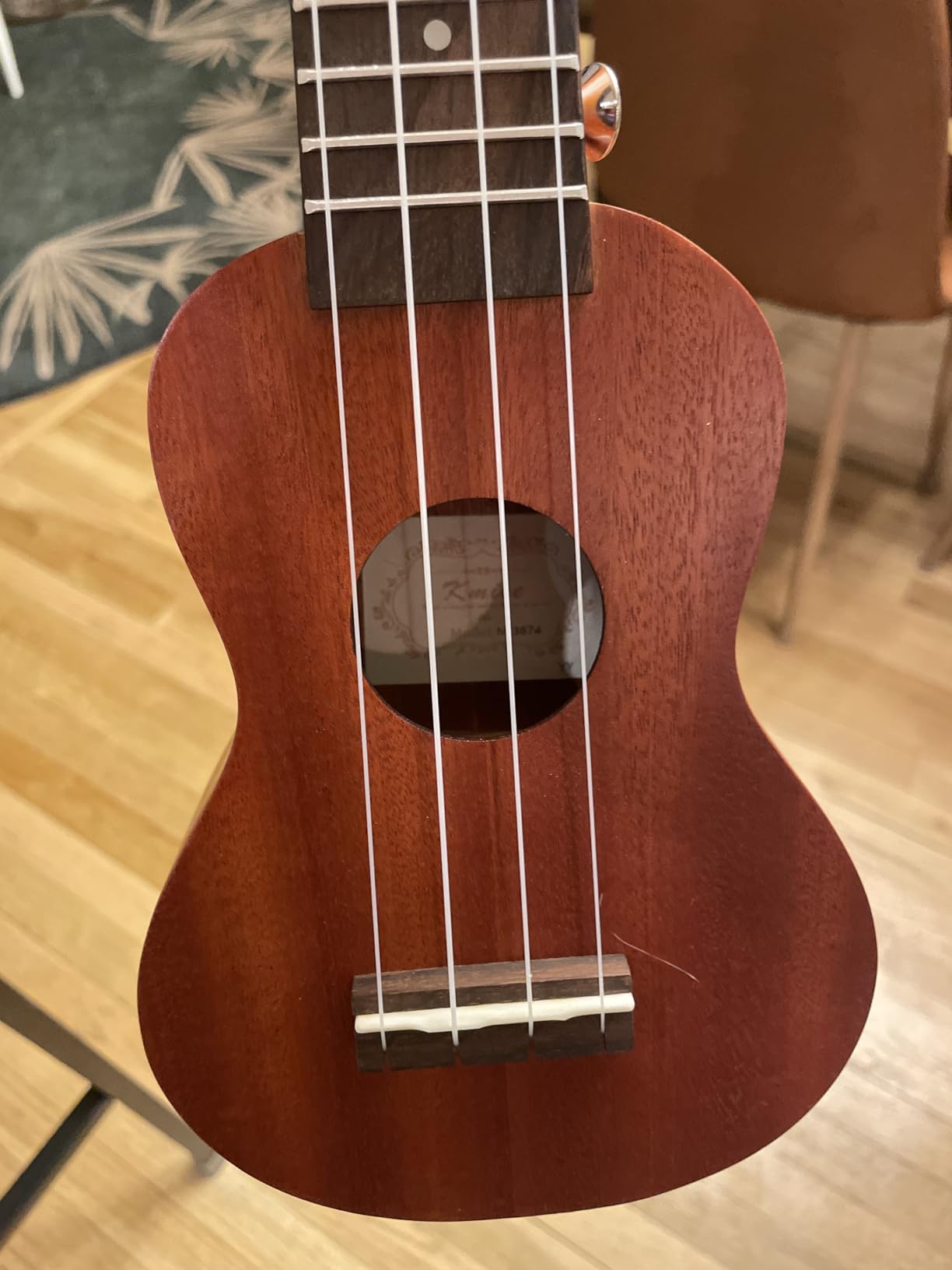 Kmise Professional Ukulele for Adult Beginner, Free Online Lesson 21 inch Soprano Mahogany Ukelele with Kids Ukele Bundle Starter Kit customer photo 2