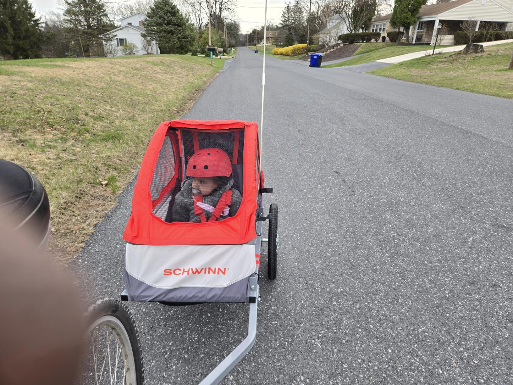 Schwinn Trailblazer Plus Kids Bike Trailer, Single Seat, Universal Coupler, Folding Frame, Quick-Release Wheels, Canopy with Bug Screen and Weather Shield customer photo 1