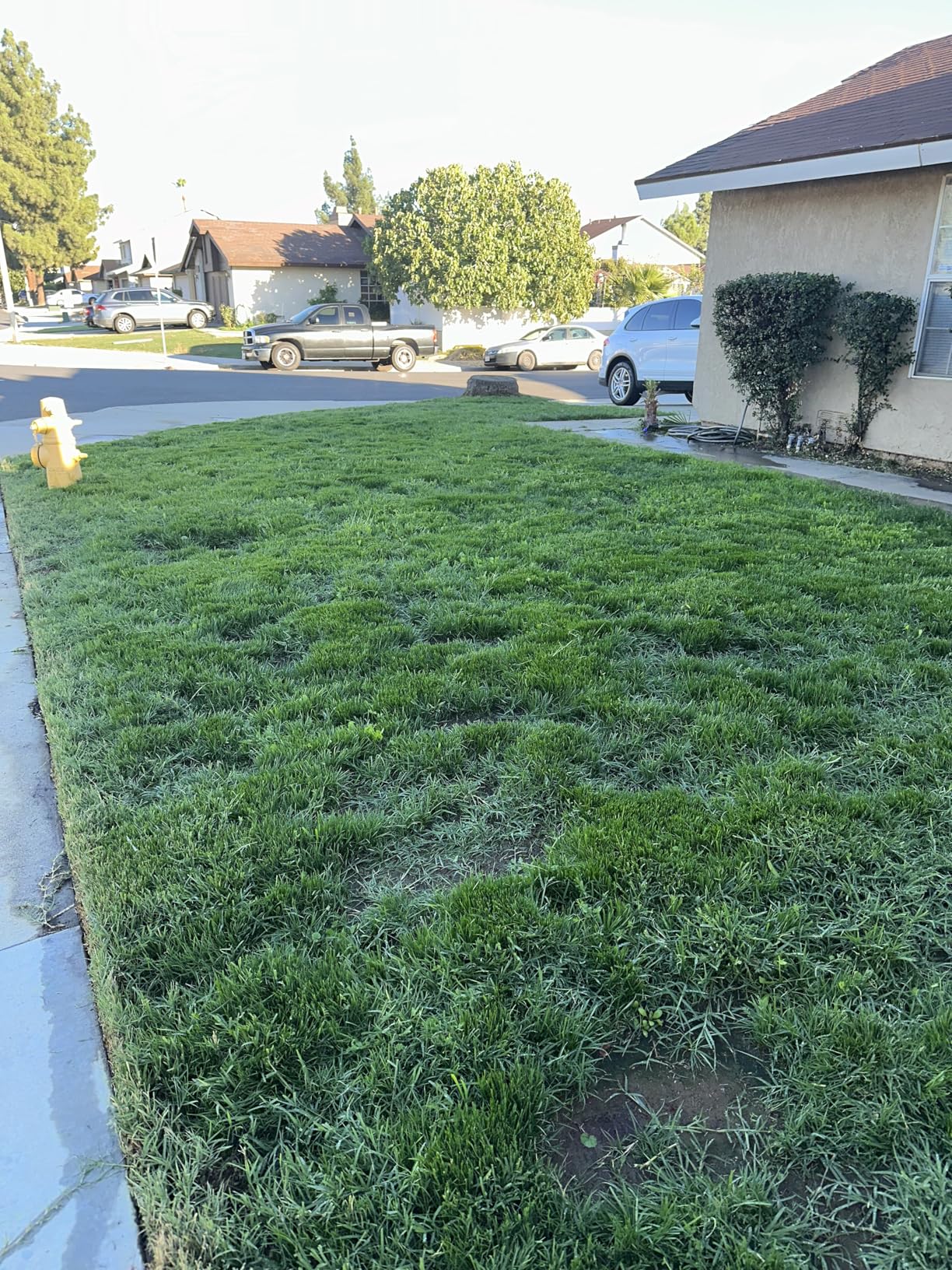 BLACK+DECKER Weed Wacker with Auto Feed, 14-Inch 2 in 1 String Trimmer Lawn Edger, Powerful 6.5-Amp Lightweight Electric Weed Eater (BESTA510) customer photo 2