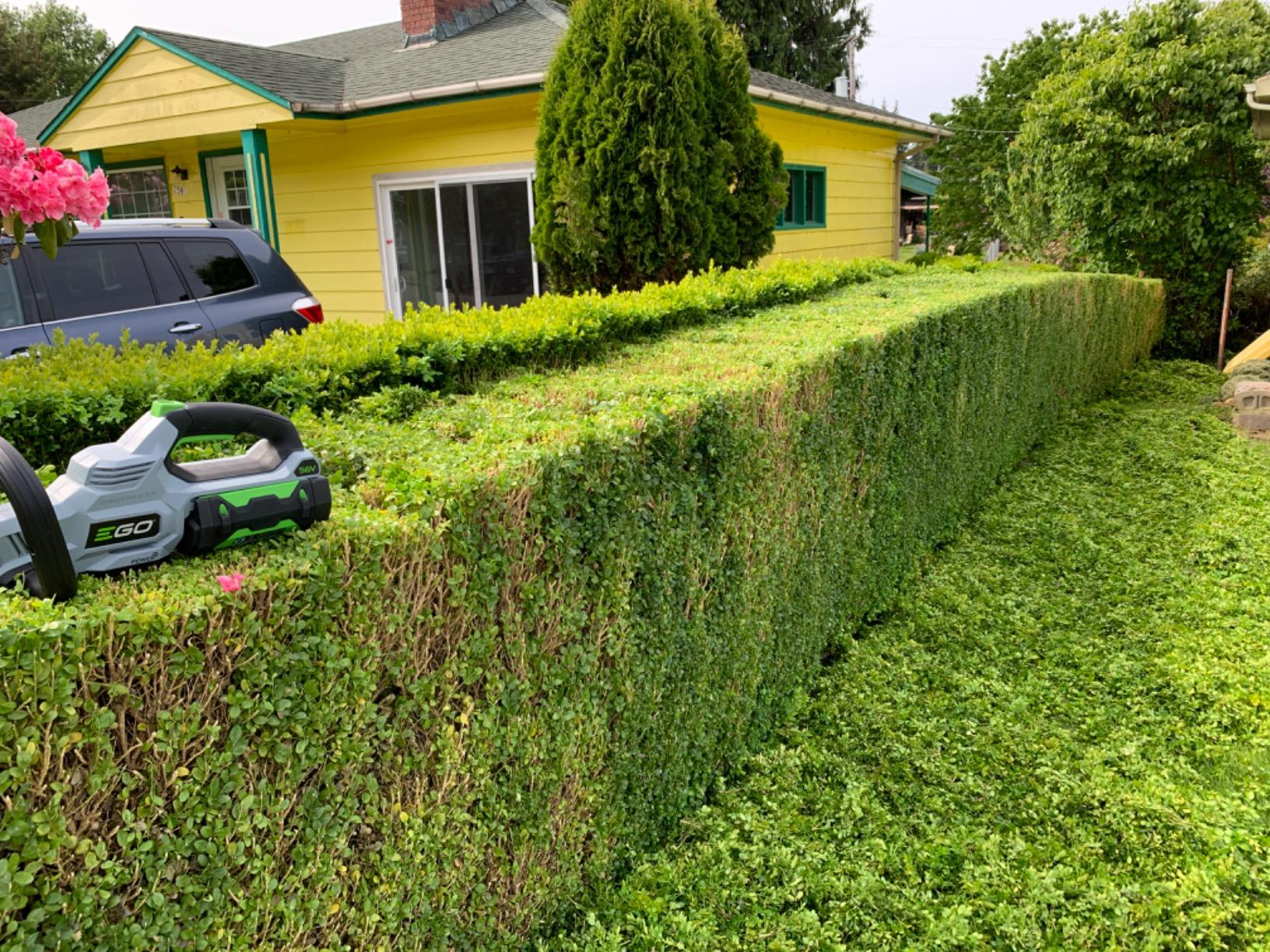 EGO POWER+ Hedge Trimmer Cordless, Electric Hedge Trimmer 24