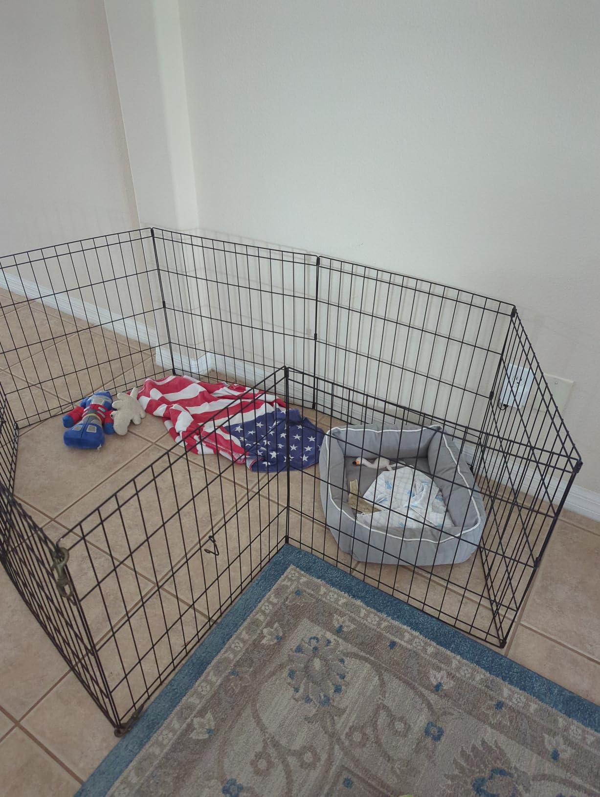 New World by MidWest Homes for Pets 30-Inch Exercise Pen, for Indoor and Outdoor use, 16 Sq Feet of Play, Folding Dog Pen, No Door Design for Maximum Security, Easy to Set Up, Foldable Pet Playpen customer photo 1