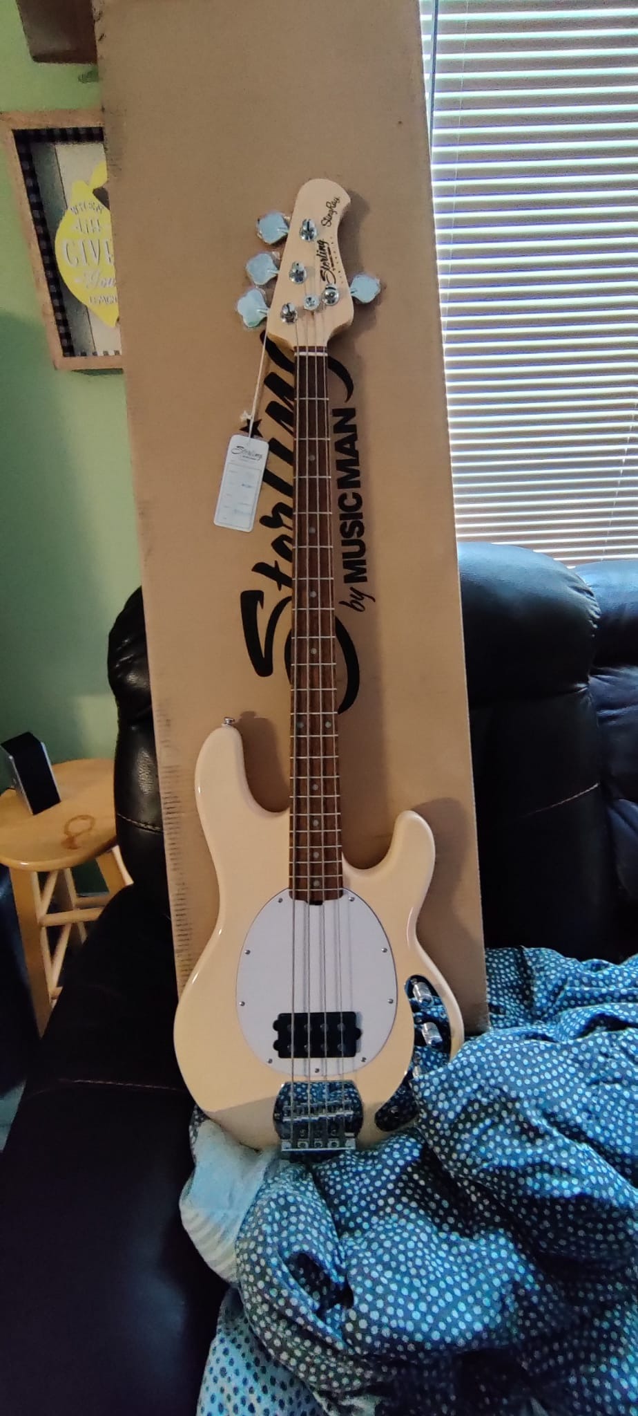 Sterling by Music Man StingRay Ray4 Bass Guitar in Walnut Satin customer photo 2