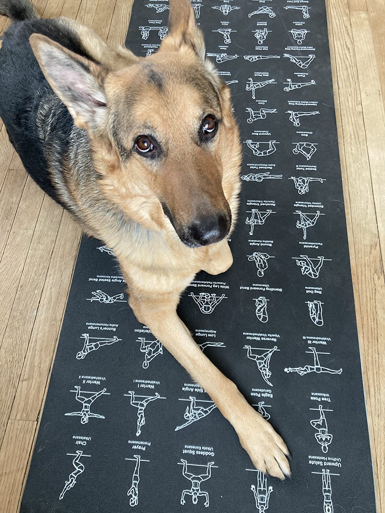 NewMe Fitness Yoga Mat for Women and Men - Large, 5mm Thick, 68 Inch Long, Non Slip Exercise Mats w/ 70 Printed Yoga Poses customer photo 1