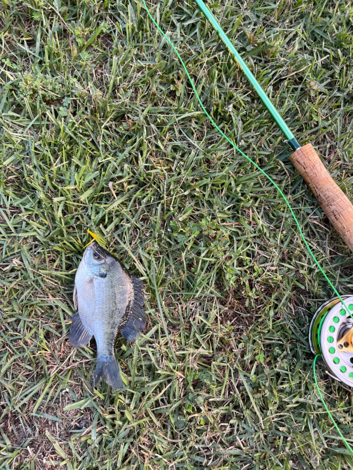 Sougayilang Fly Fishing Rod Reel Combos with Lightweight Portable Fly Rod and CNC-machined Aluminum Alloy Fly Reel, Fly Fishing Complete Starter Package customer photo 2