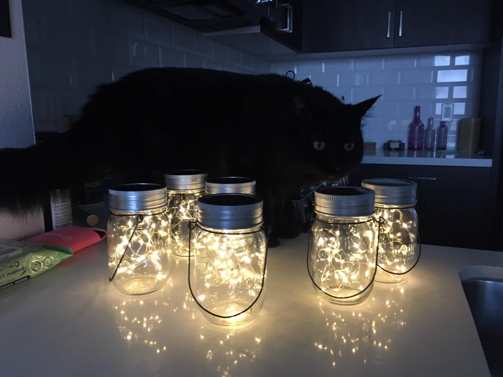 GIGALUMI Hanging Mason Jar Solar Lights, 6 Pack 30 Led Hanging Solar Lanterns Outdoor Waterproof, Hangers and Jars Included, Outdoor Decor for Balcony, Garden, Patio, Yard, Wedding customer photo 2