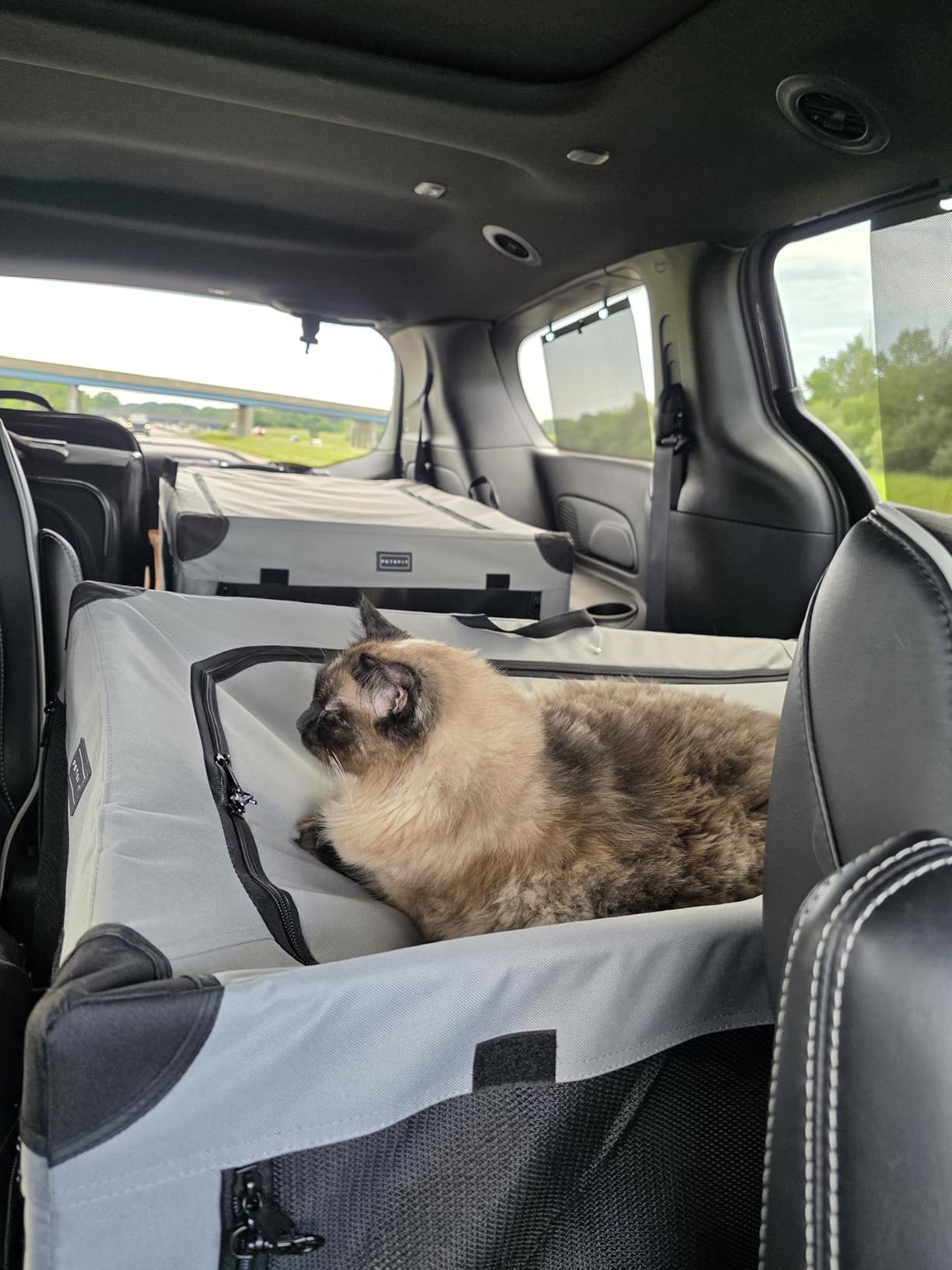 PETSFIT 30