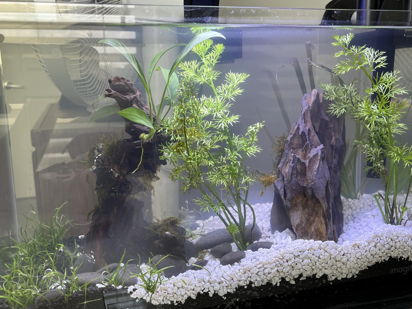 Aqueon Clip-On LED Aquarium Fish Tank Light for Planted Growing Plants for Up To 20 Gallon Aquariums customer photo 2