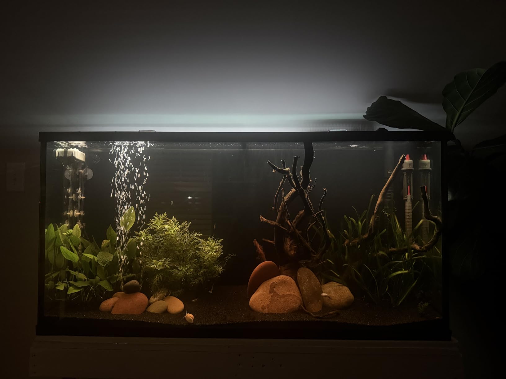 NICREW ClassicLED Plus LED Aquarium Light with Timer, 15 Watts, for 18 to 24 Inch Fish Tank Light, Daylight and Moonlight Cycle, Brightness Adjustable customer photo 1