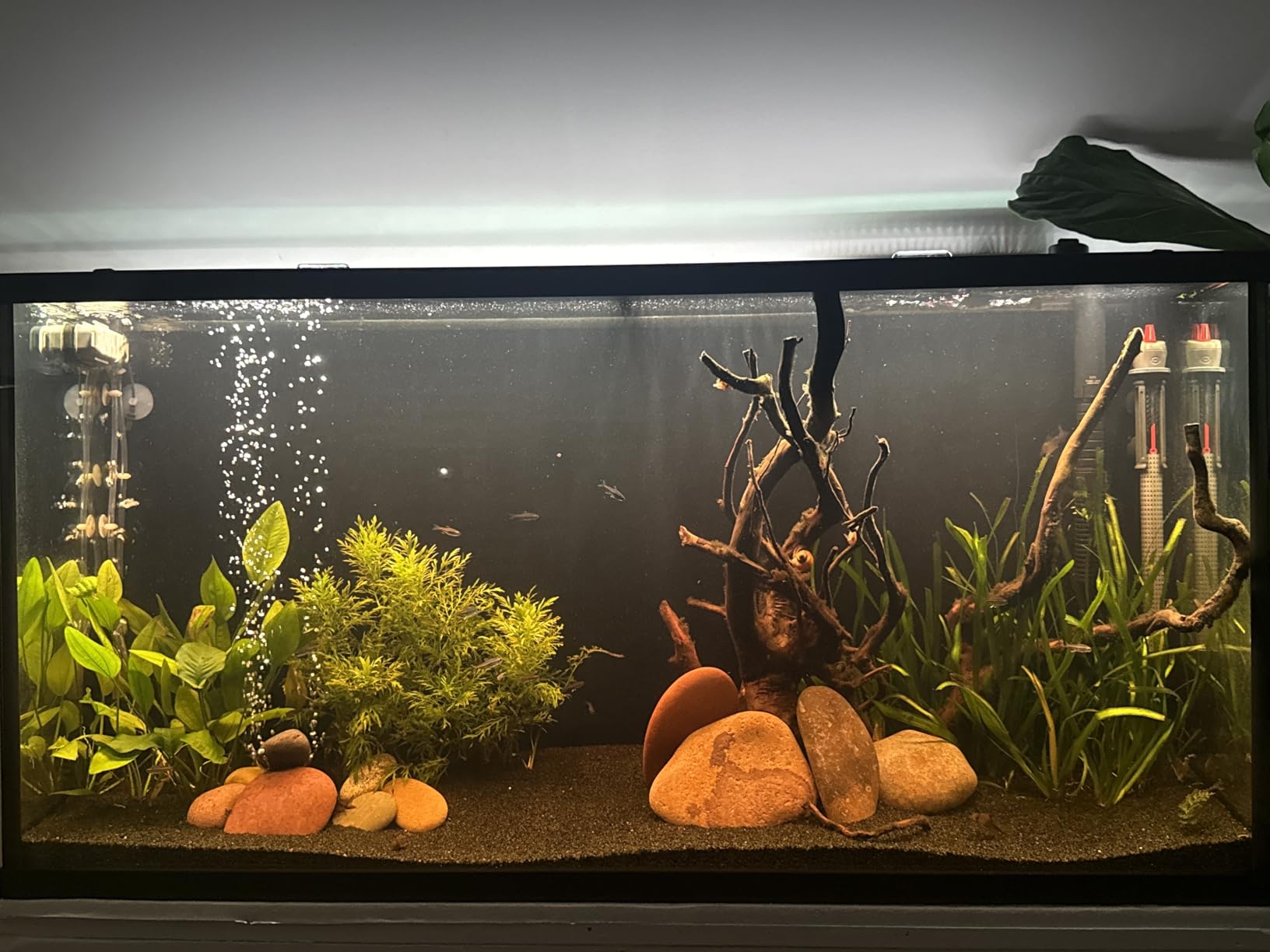 NICREW ClassicLED Plus LED Aquarium Light with Timer, 15 Watts, for 18 to 24 Inch Fish Tank Light, Daylight and Moonlight Cycle, Brightness Adjustable customer photo 2