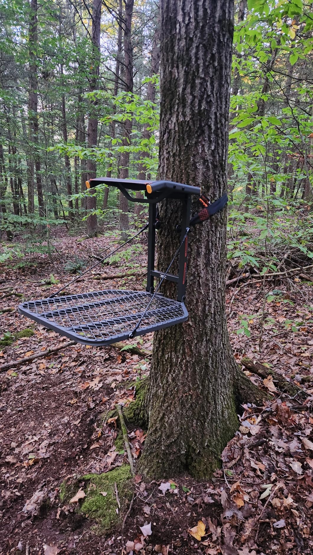 Big Game Captain Hang-On Treestand, Lightweight Steel Construction & Flip-Back 14