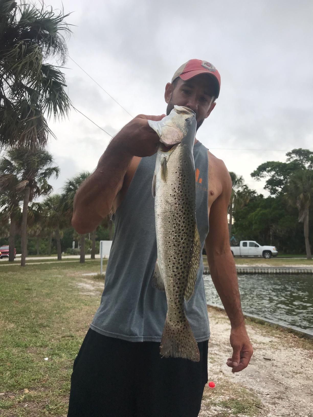 Penn Spinfisher VI Spinning Fishing Reel customer photo 2
