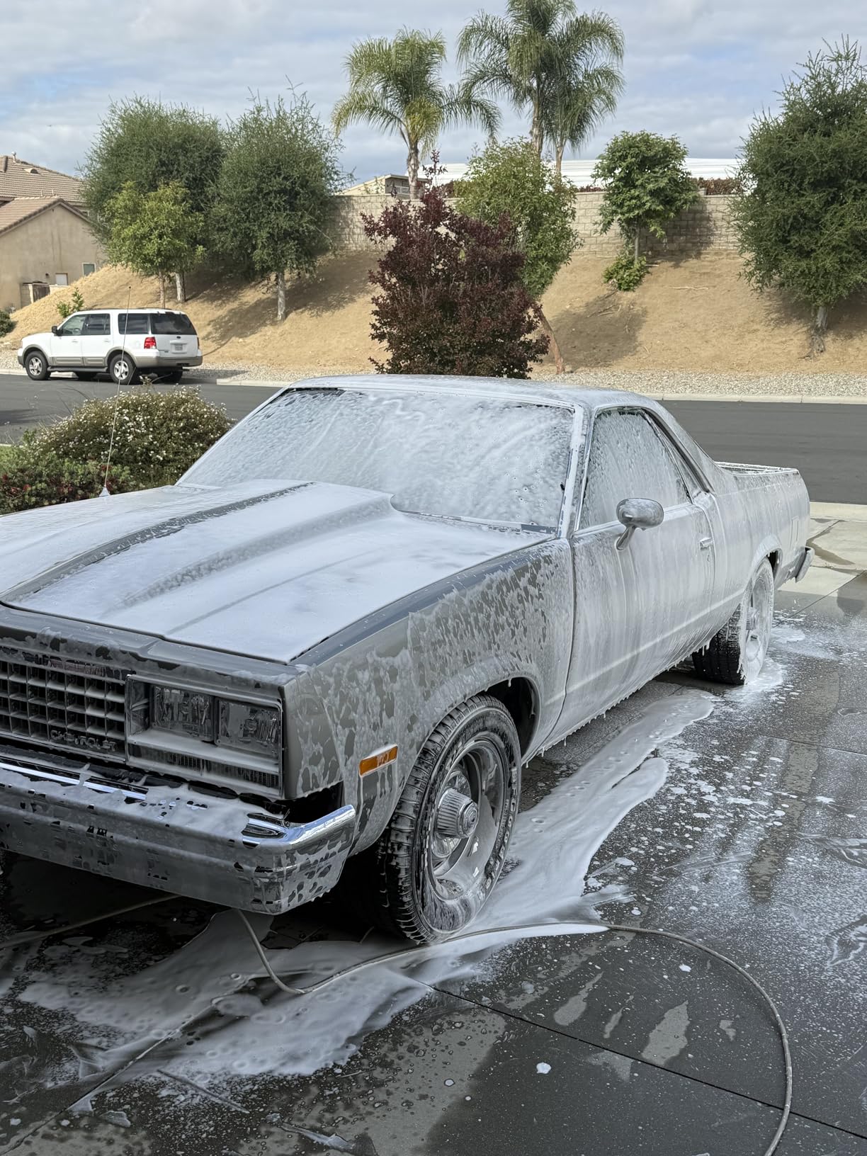 Tool Daily Foam Cannon with 1/4 Inch Quick Connector, 1 Liter, 5 Pressure Washer Nozzle Tips customer photo 1
