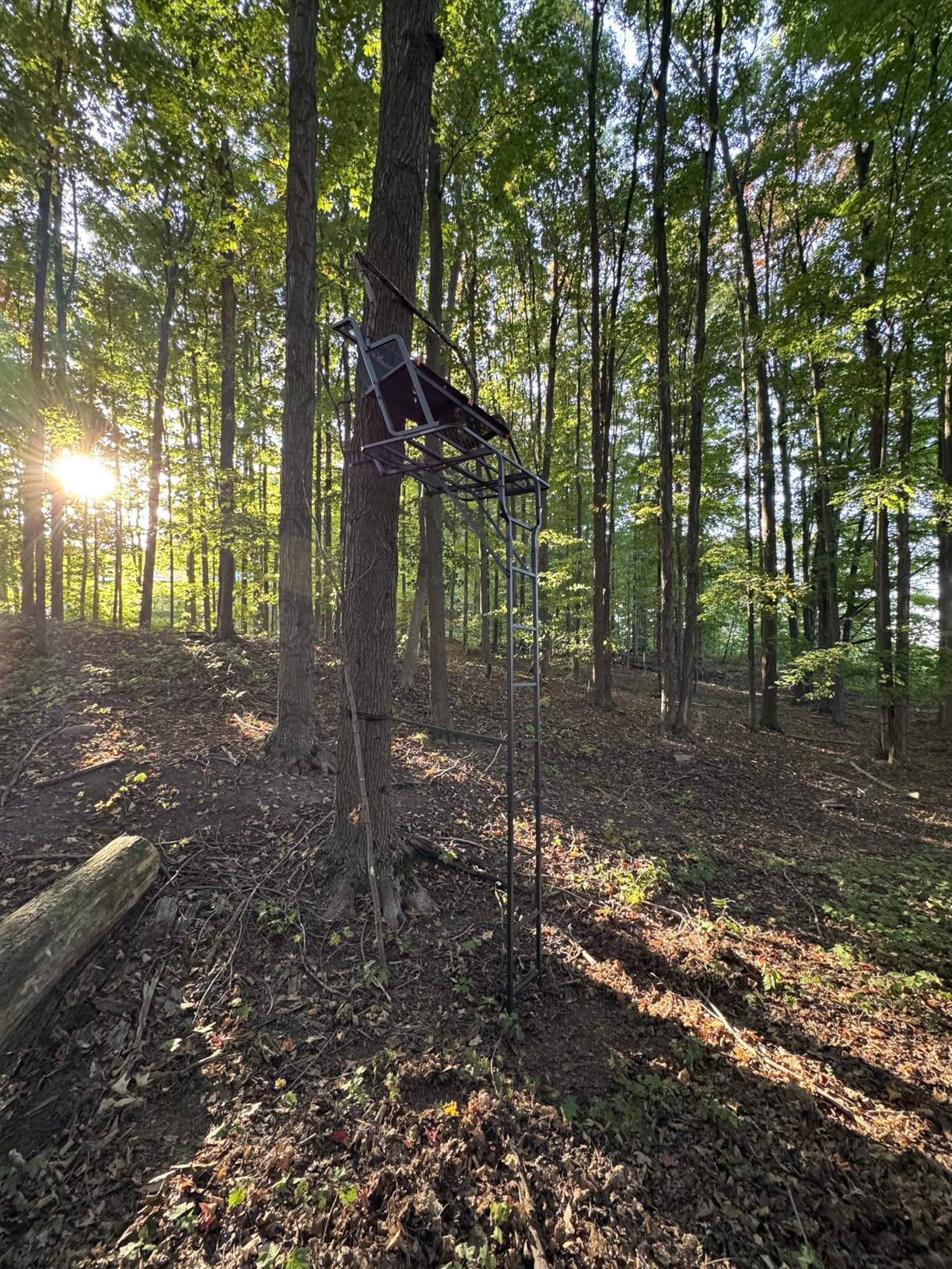 Big Game Striker XL Ladder Treestand 17.5 Foot Tall with Flip Back Seat, Padded Armrests, Deep Foot Platform, Ideal for Hunting and Shooting, Black customer photo 1