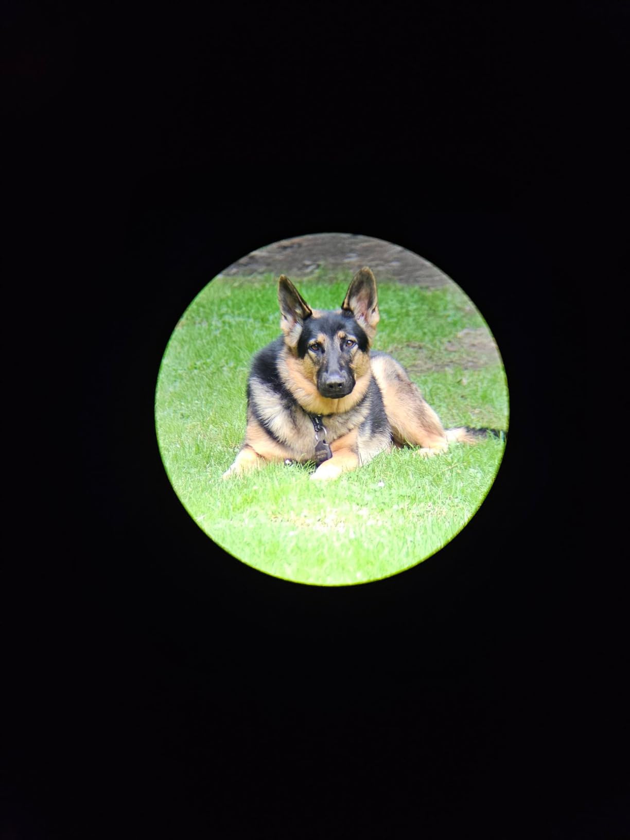 Gosky Flagship DiamondEdge 20-60x80 Spotting Scope customer photo 1
