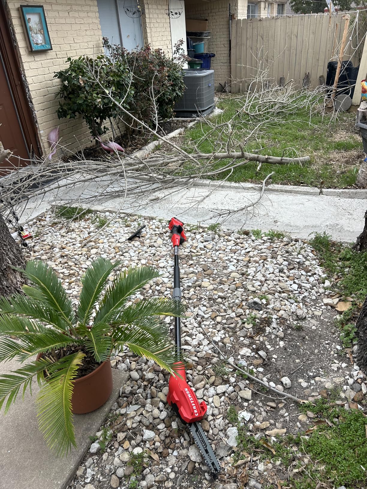 CRAFTSMAN V20 Cordless Pole Saw, 14-Foot, Battery and Charger Included, Pole Saws for Tree Trimming, Up to 325 Cuts per Charge, 4.0Ah, Electric Tree Trimmer (CMCCSP20M1) customer photo 1
