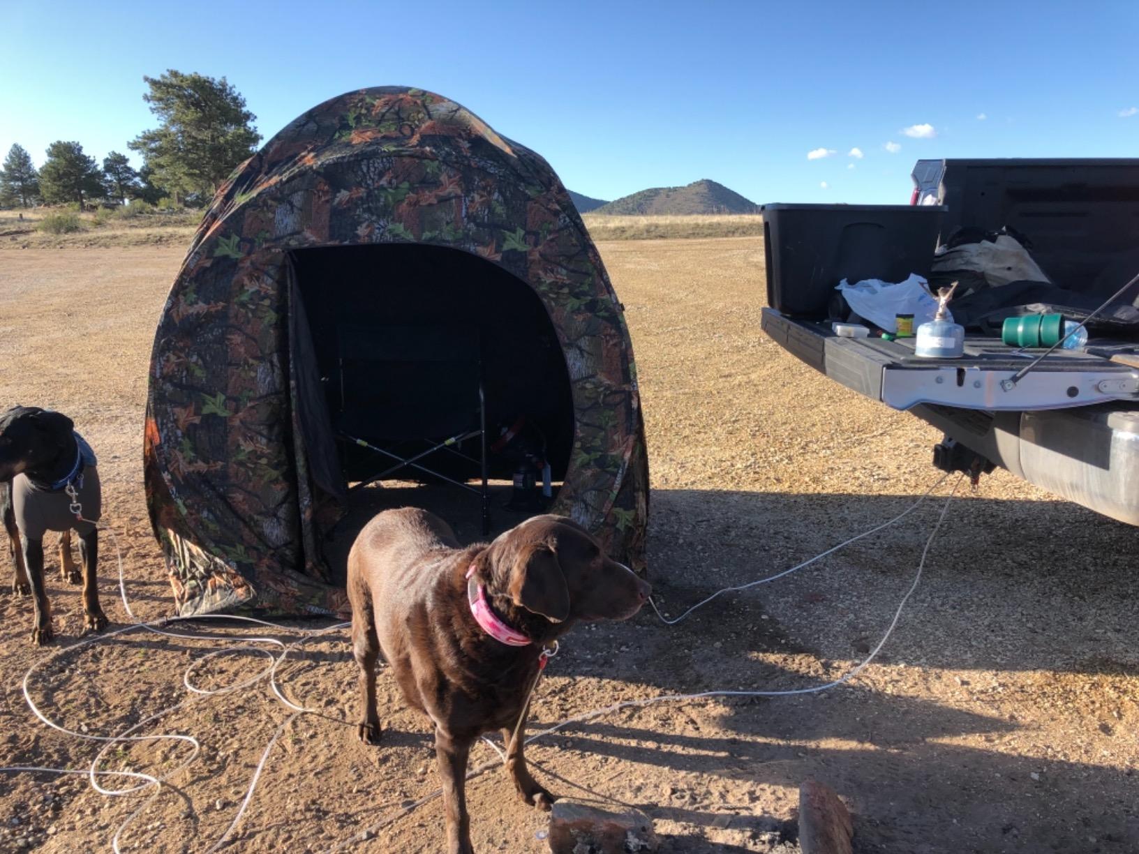 GYMAX Hunting Blind, 3 Persons Pop Up Ground Blind with Hub System, Carry Bag for Deer & Turkey, Camo Hunting Tent with 360 Degree View See Through customer photo 1
