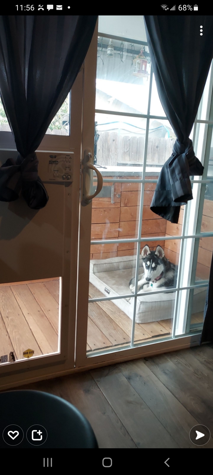 Power Pet Electronic Dog Door - High Tech Pet Electronic Pet Doors - Fully Automatic Sliding e-Glass Electronic Dog Doors - Large Pets up to 100 lbs - Tall 92-3/4