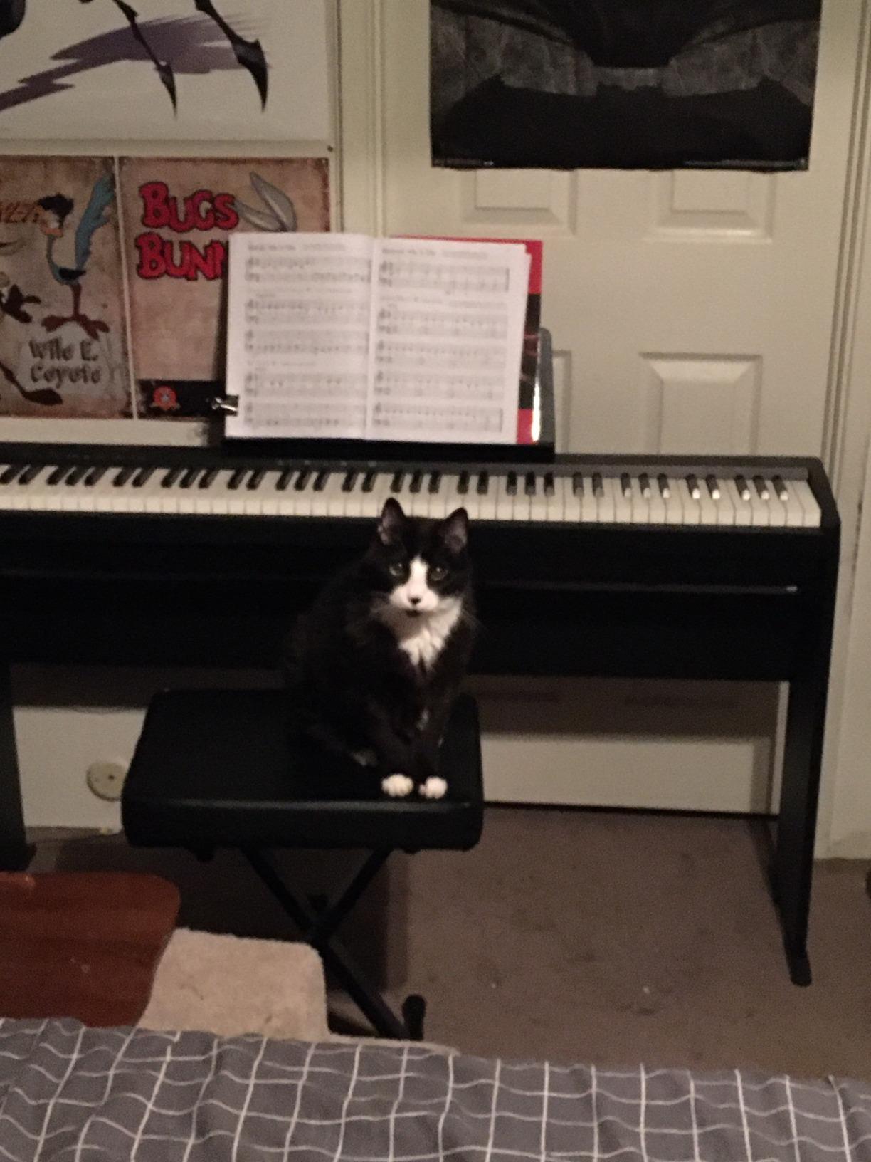 Roland FP-10 | Compact 88-Note Digital Piano | SuperNATURAL Piano Tones | Authentic Acoustic Feel Keyboard | Bluetooth & MIDI Connectivity customer photo 1
