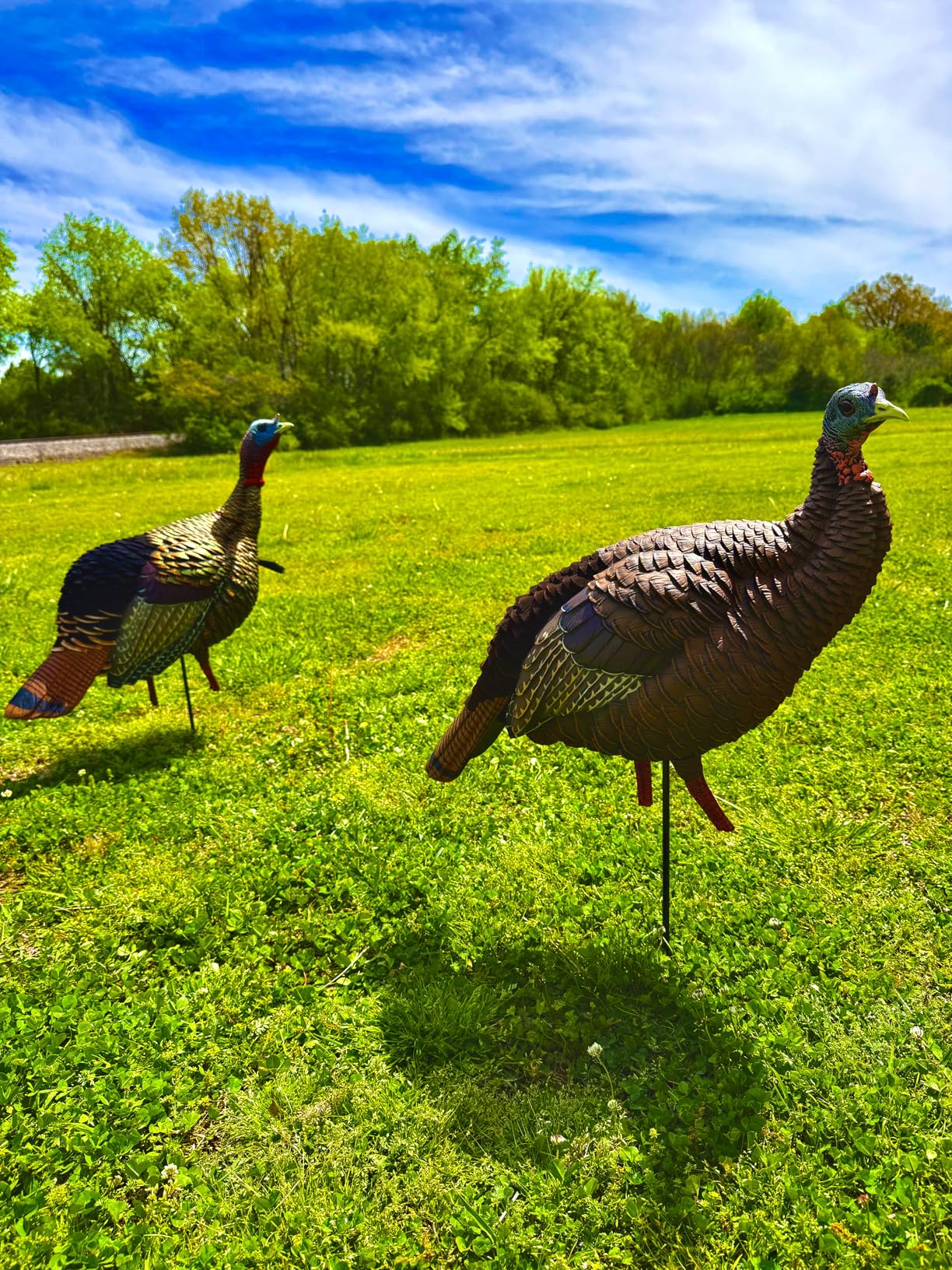 Avian-X HDR Jake Turkey Decoy customer photo 1