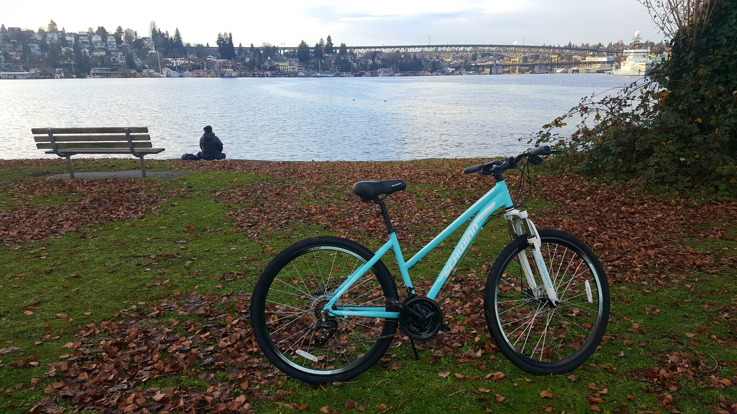 Schwinn GTX Comfort Adult Hybrid Bike, Men and Women, Dual Sport Bicycle, 700c Wheels, Step-Through or Step-Over Lightweight Aluminum Frame customer photo 2