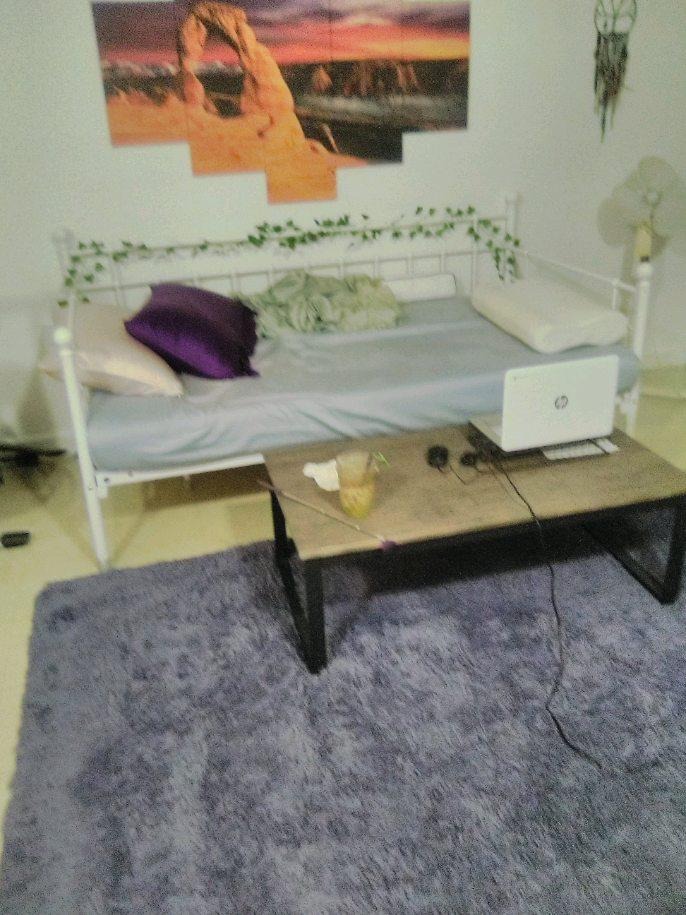 HOMERECOMMEND Metal Daybed Frame Steel Slats Platform Base Box Spring Replacement Bed Sofa for Living Room Guest Room (Twin, White) customer photo 1