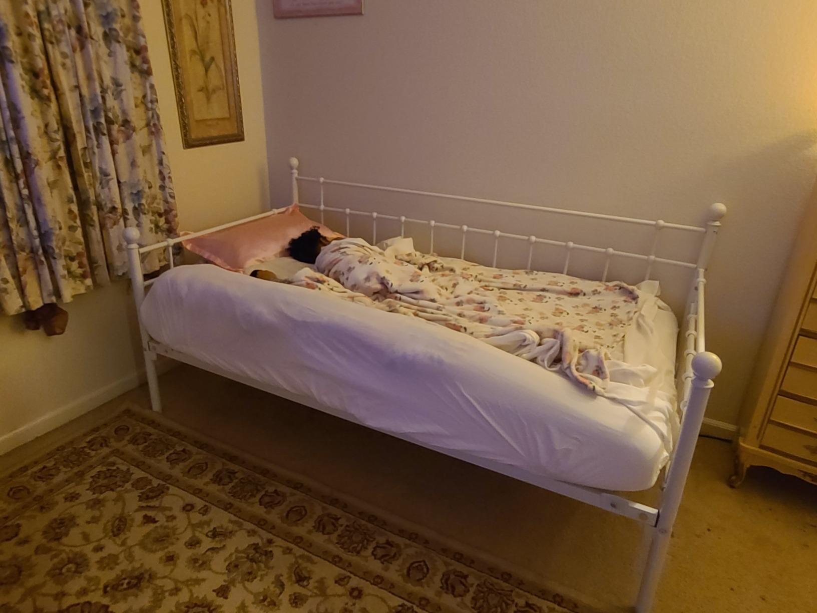 HOMERECOMMEND Metal Daybed Frame Steel Slats Platform Base Box Spring Replacement Bed Sofa for Living Room Guest Room (Twin, White) customer photo 2