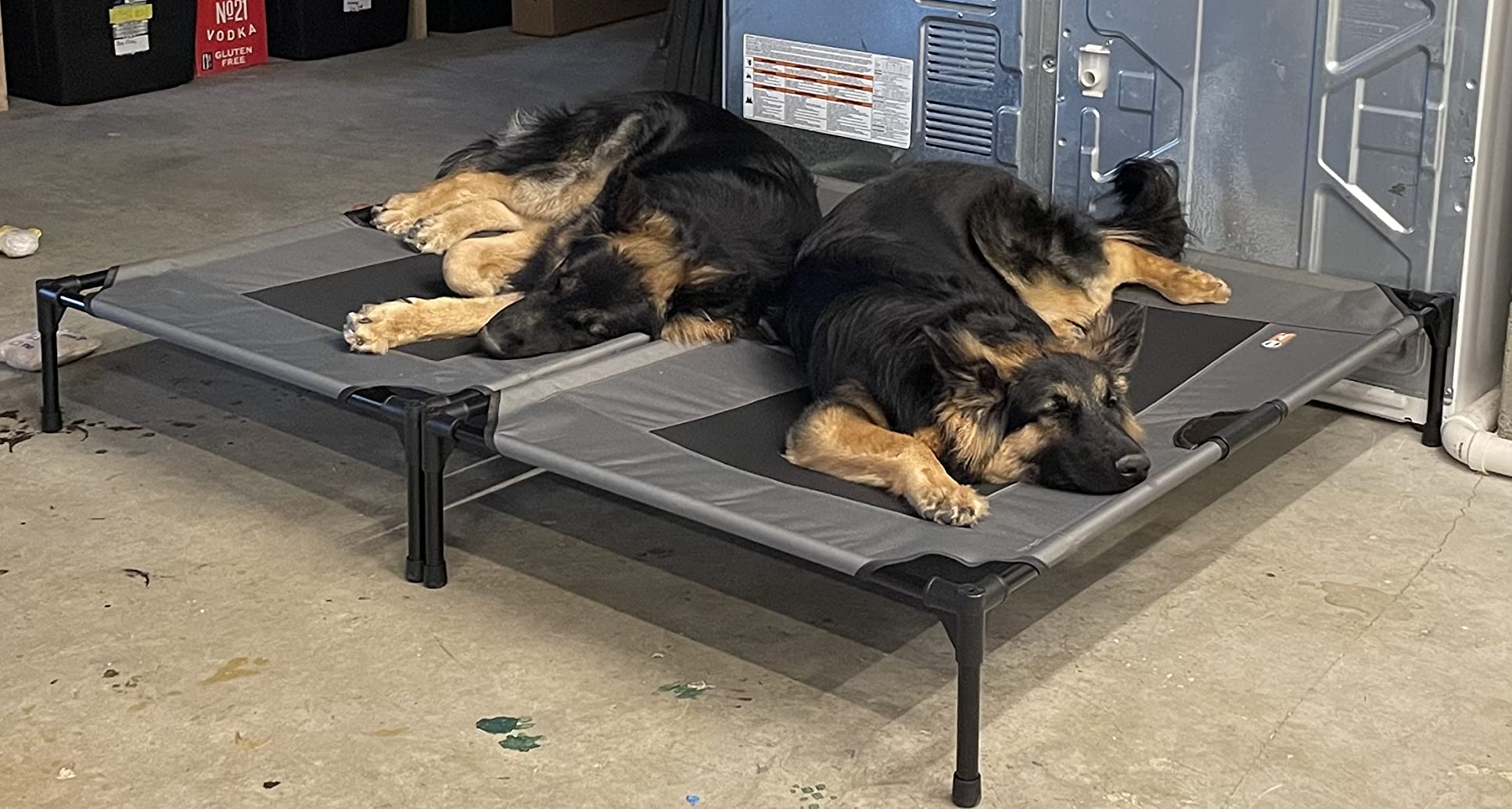 K&H Pet Products Outdoor Elevated Dog Cot, Breathable Cooling Elevated Cot Hammock Pet Bed for Large Dogs, Large 42 X 30in Gray customer photo 1
