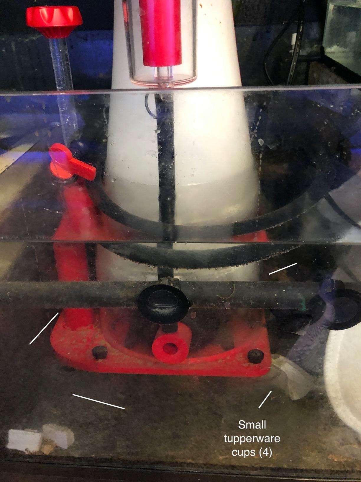 Red Sea Reefer RSK-300 Protein Skimmer customer photo 1