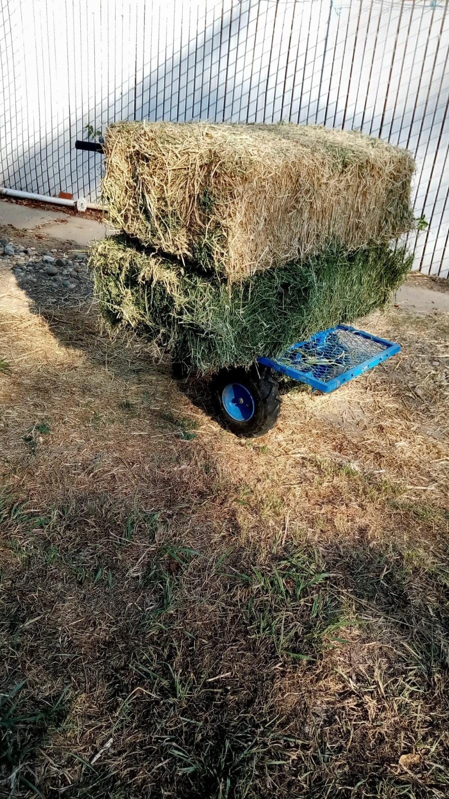 Landworks Utility Service Cart Wheelbarrow Power Wagon, Super Duty Electric 48V DC Li-Ion Battery Powered, 500 lbs Load & 1000+ lbs Hauling Capacity, Farm & Garden Dump with Modular Cargo Bed customer photo 2