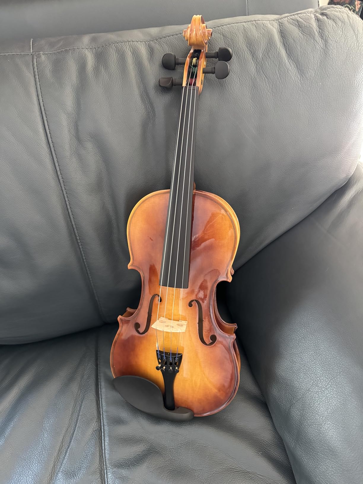 Eastar 4/4 Violin Set Full Size Fiddle Solidwood for Adults with Hard Case, Shoulder Rest, Rosin, Two Bows, Clip-on Tuner and Extra Strings, EVA-330 customer photo 2