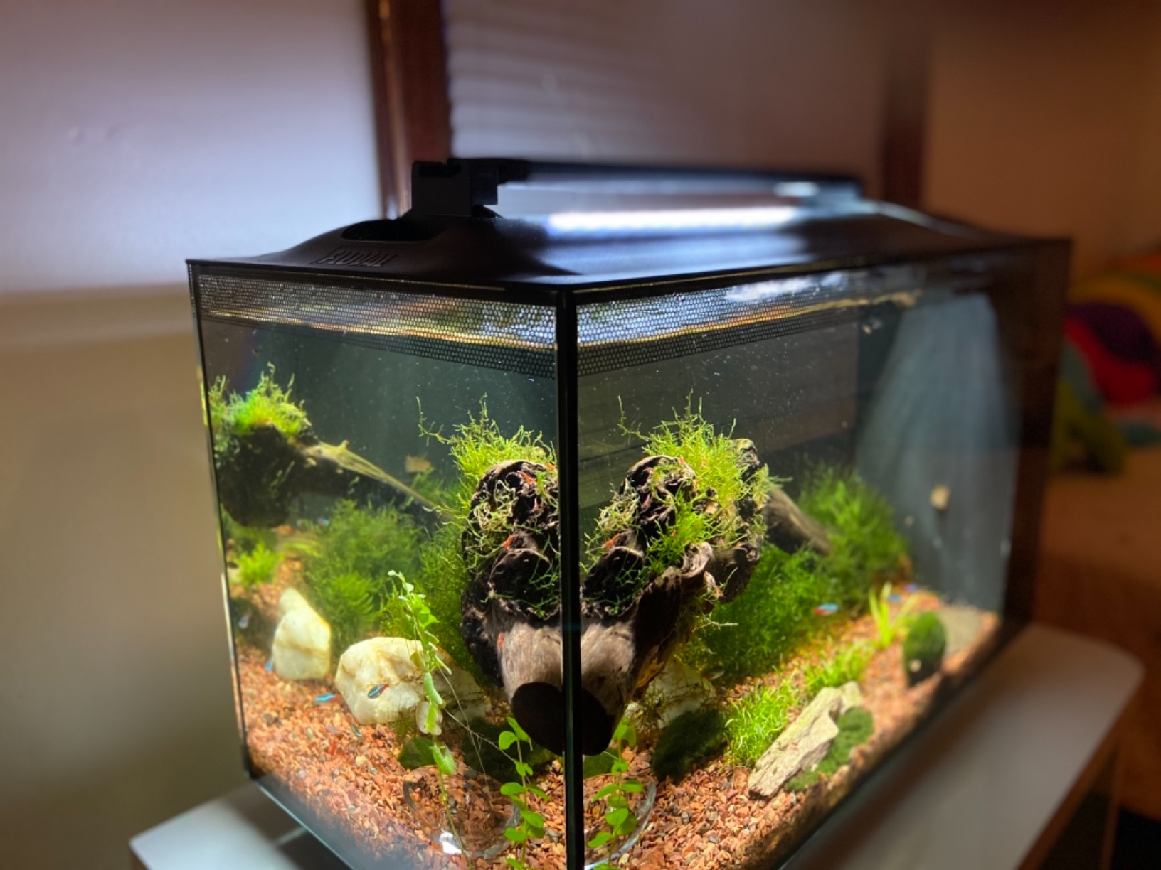 Fluval Aquasky 2.0 LED Aquarium Light - 12W, 15-24