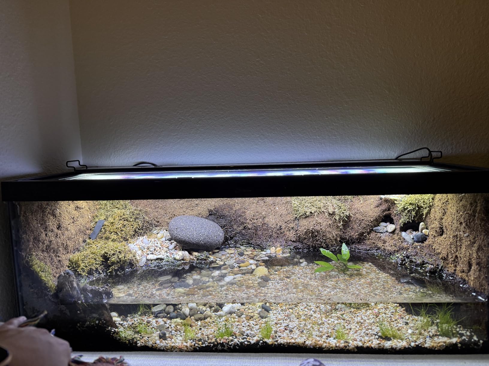 AQUANEAT LED Aquarium Light Full Spectrum for 18 Inch to 24 Inch Fish Tank Light Fresh Water customer photo 1