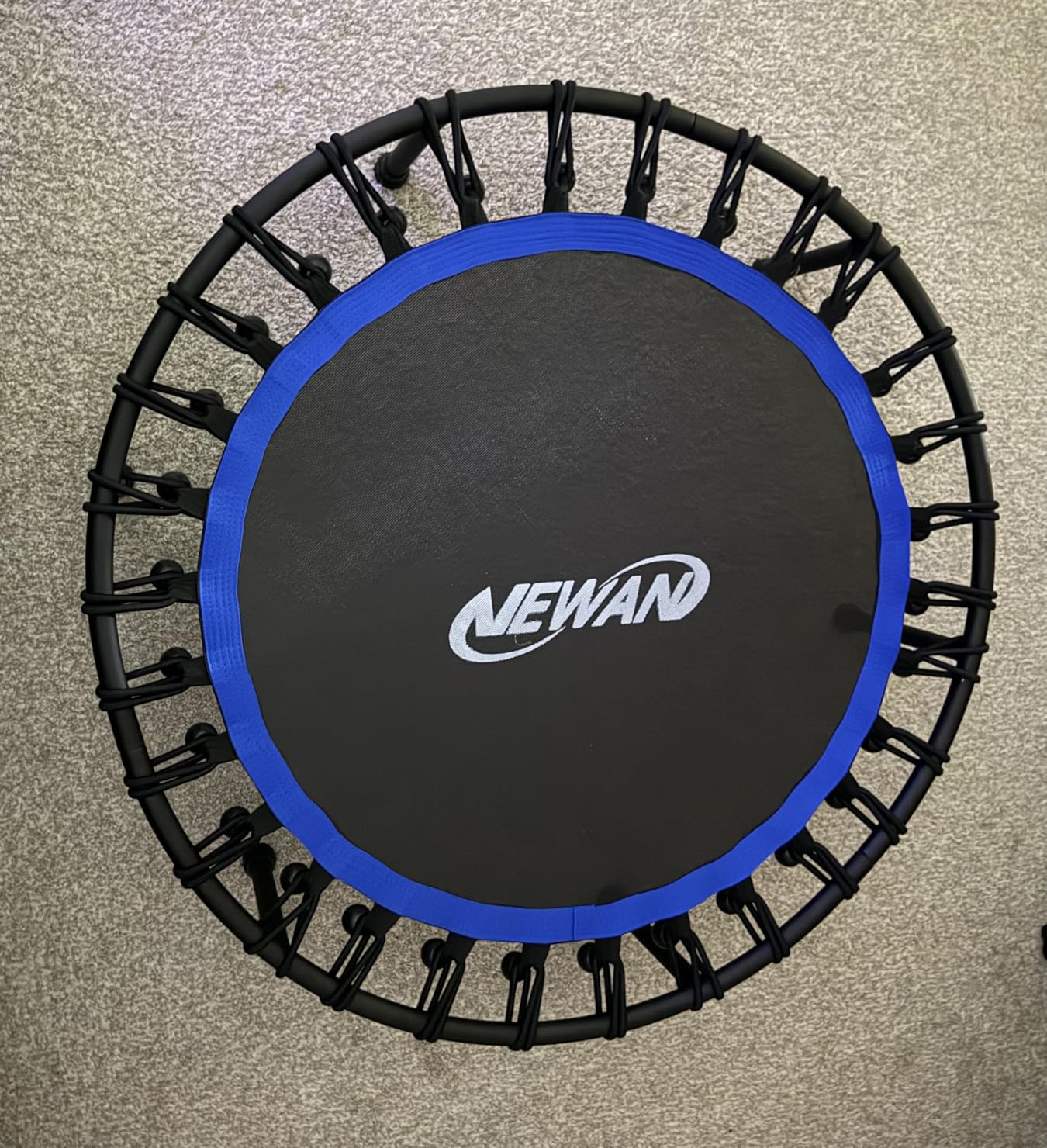 Newan 40