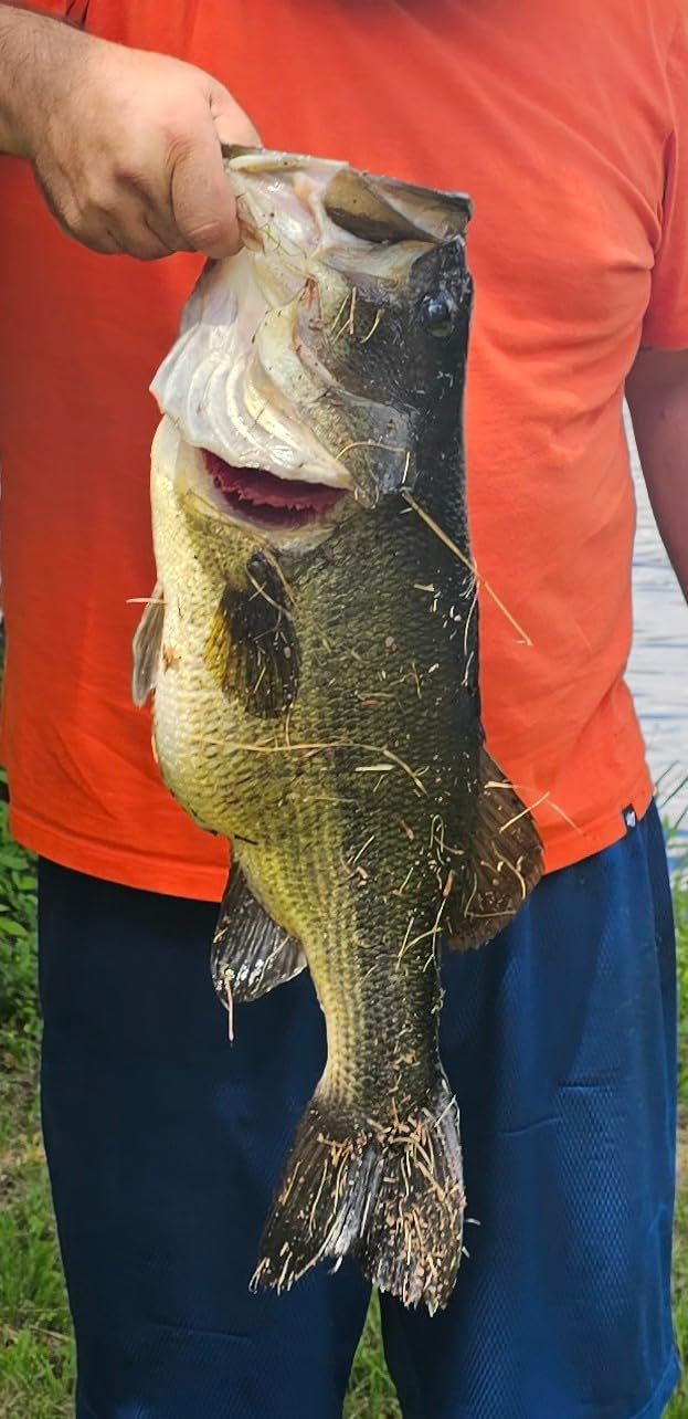Shimano SLX XT Low Profile Baitcasting Reel customer photo 1