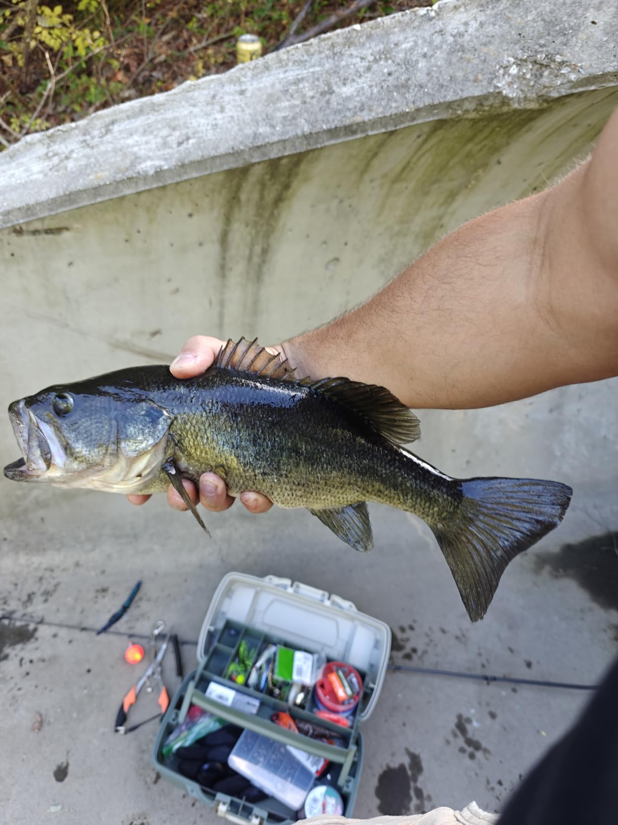 Lew's Tournament MP Speed Spool LFS Baitcasting Reel customer photo 2
