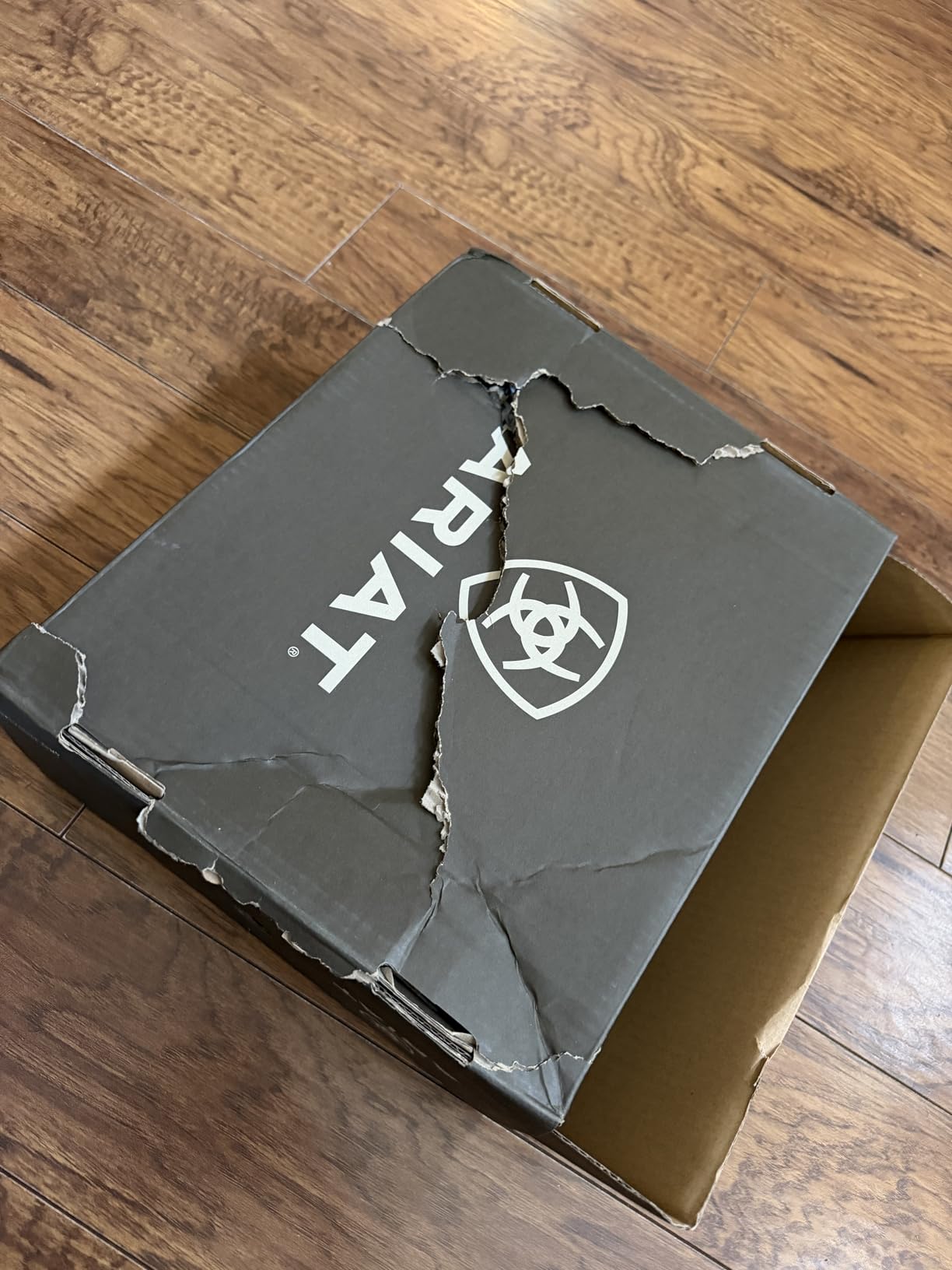 ARIAT Sport Booker Ultra Chelsea Boot customer photo 1