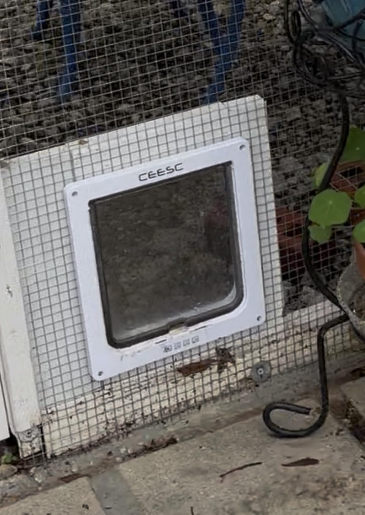 CEESC Extra Large Cat Door (Outer Size 11