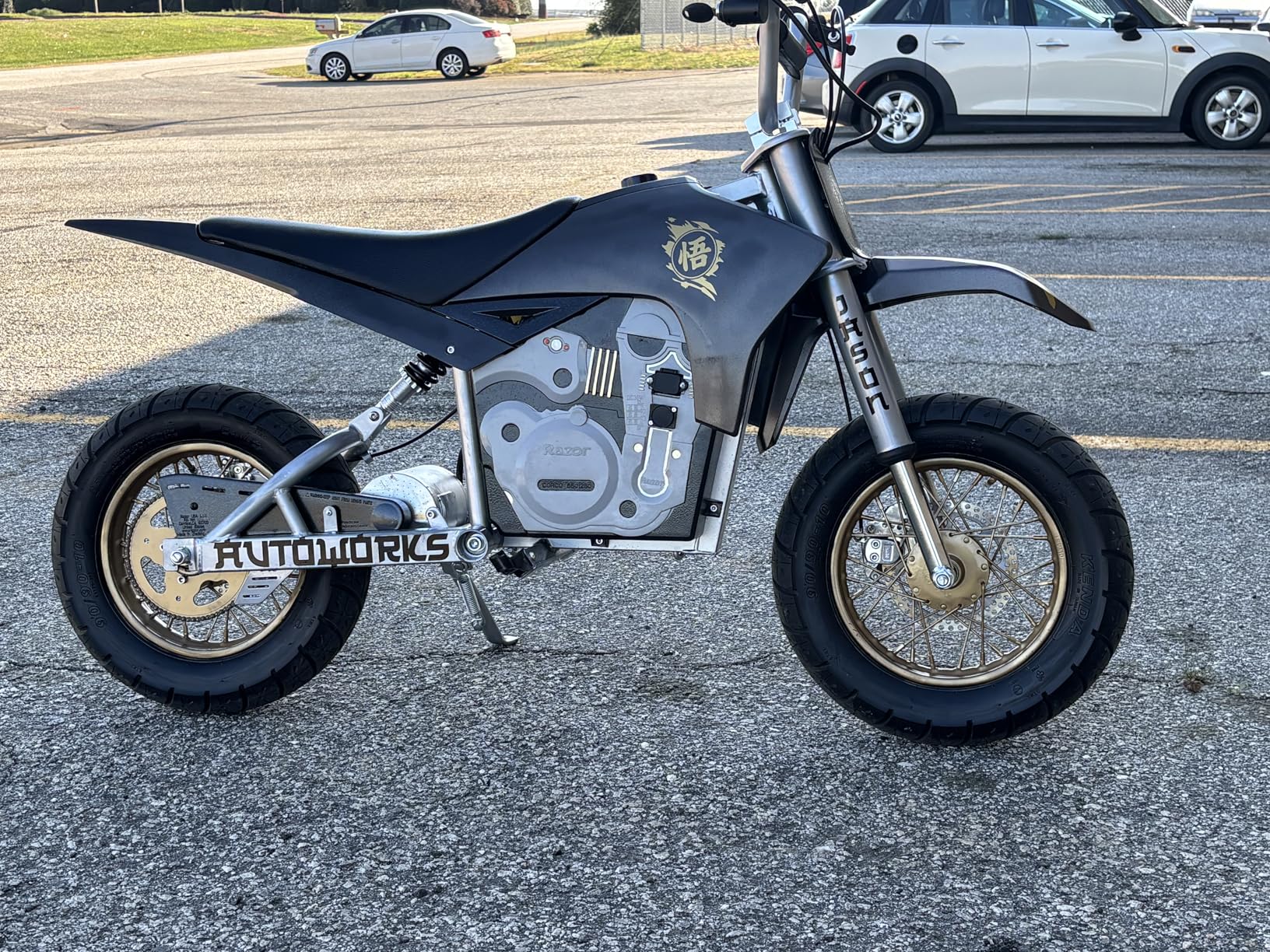 Razor Dirt Rocket SX500 McGrath Electric Motocross Bike for Kids Ages 14+ - 40 mins of Ride Time, For Riders up to 175 lbs customer photo 1