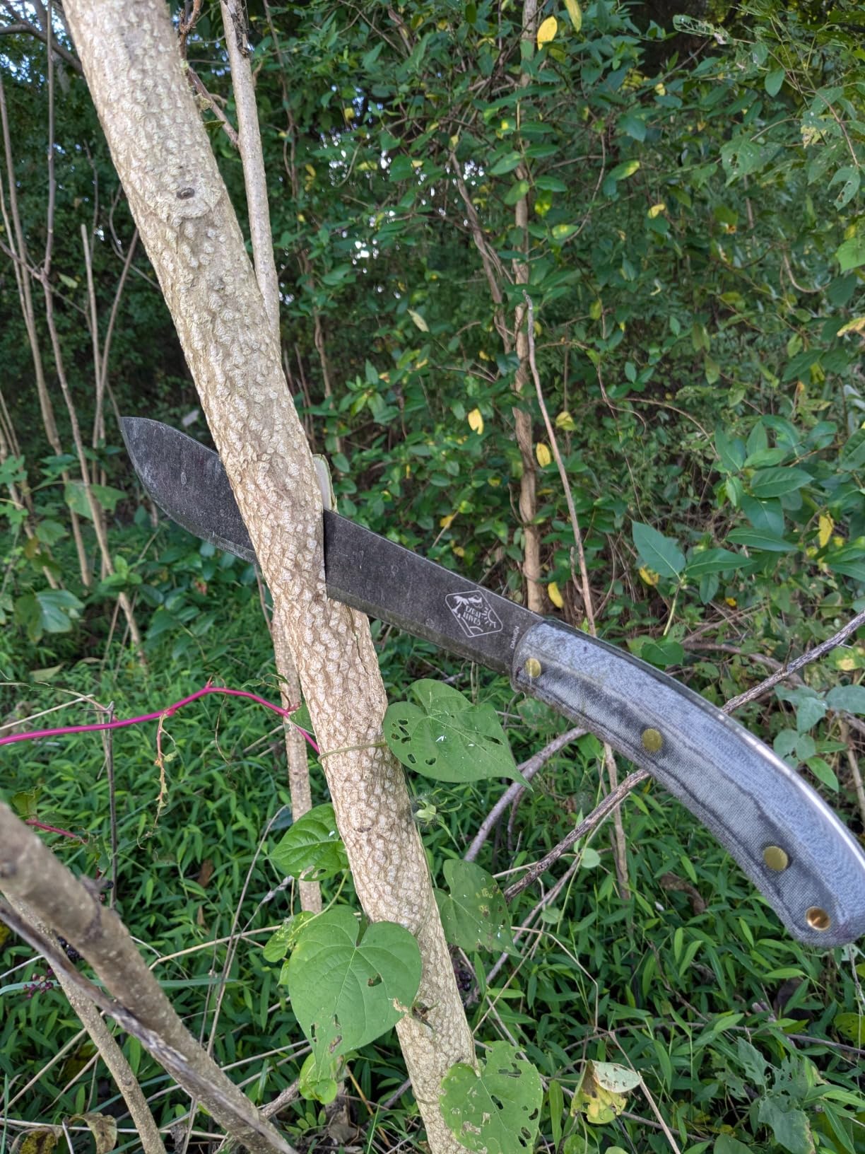 ESEE EXPAT Darien Machete with Nylon Sheath customer photo 1