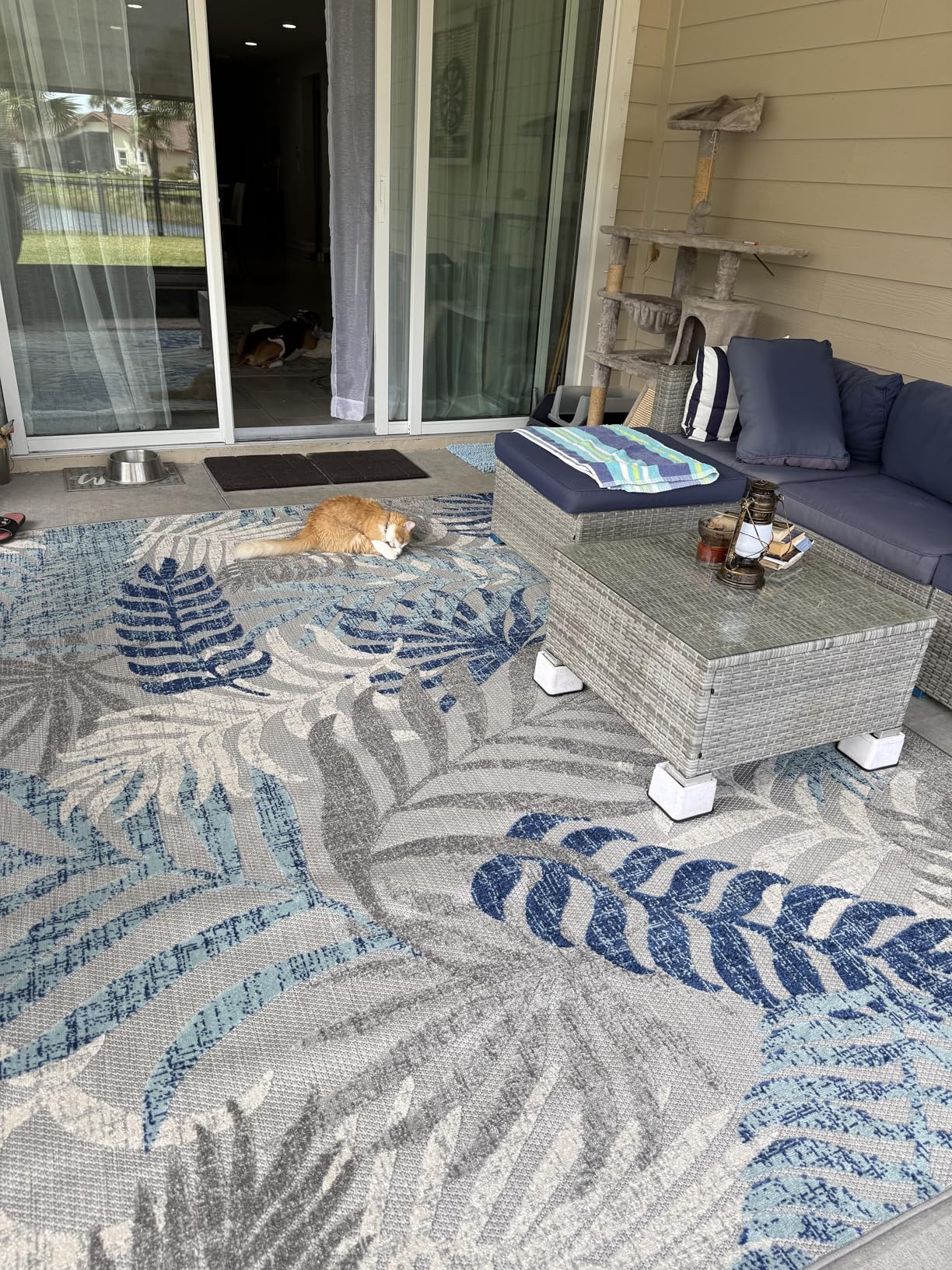 JONATHAN Y Tropics Palm Leaves Indoor Outdoor Area Rug 8X10 Gray/Blue, Boho for Backyard, Patio, Porch, Easy-Cleaning, High Traffic, Pet-Friendly, Non-Shedding (AMC100A-8) customer photo 2