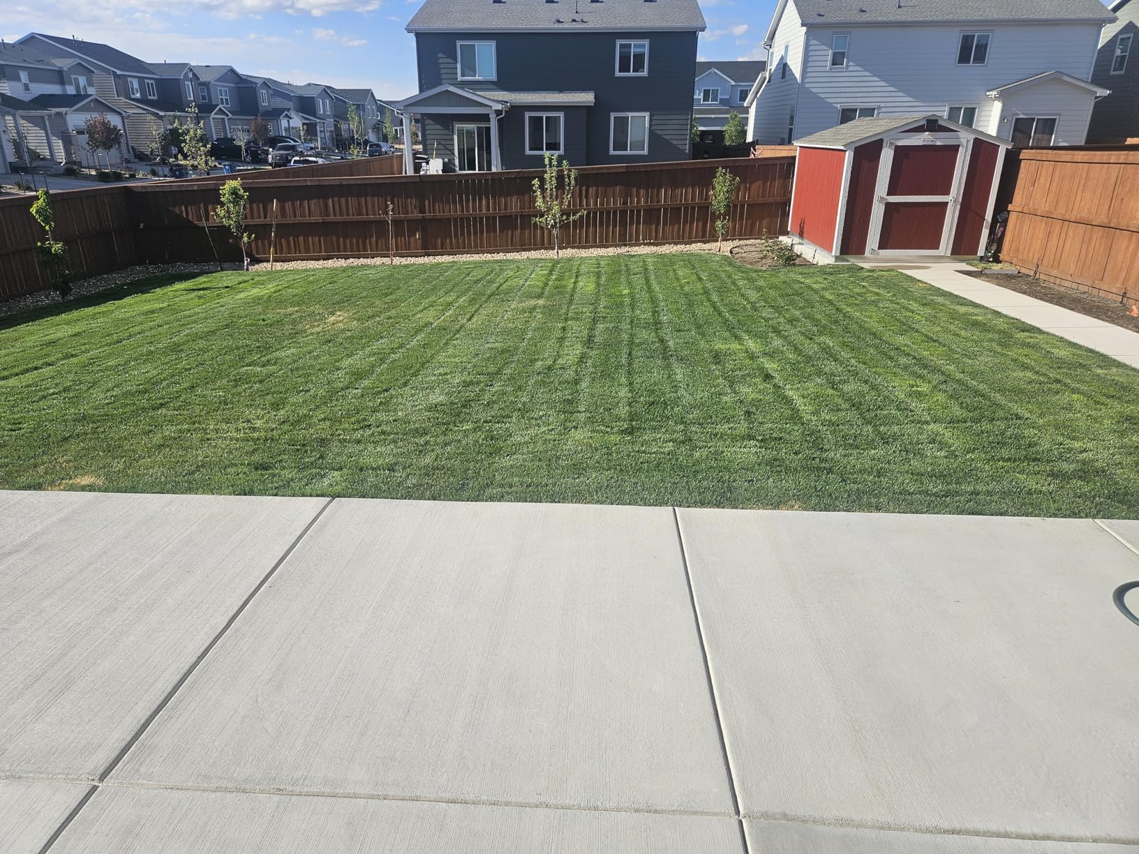 EGO POWER+ Electric Lawn Mower, Self-Propelled Cordless with Select Cut and Touch Drive, Includes 56V 7.5Ah Battery and Rapid Charger - LM2135SP customer photo 1