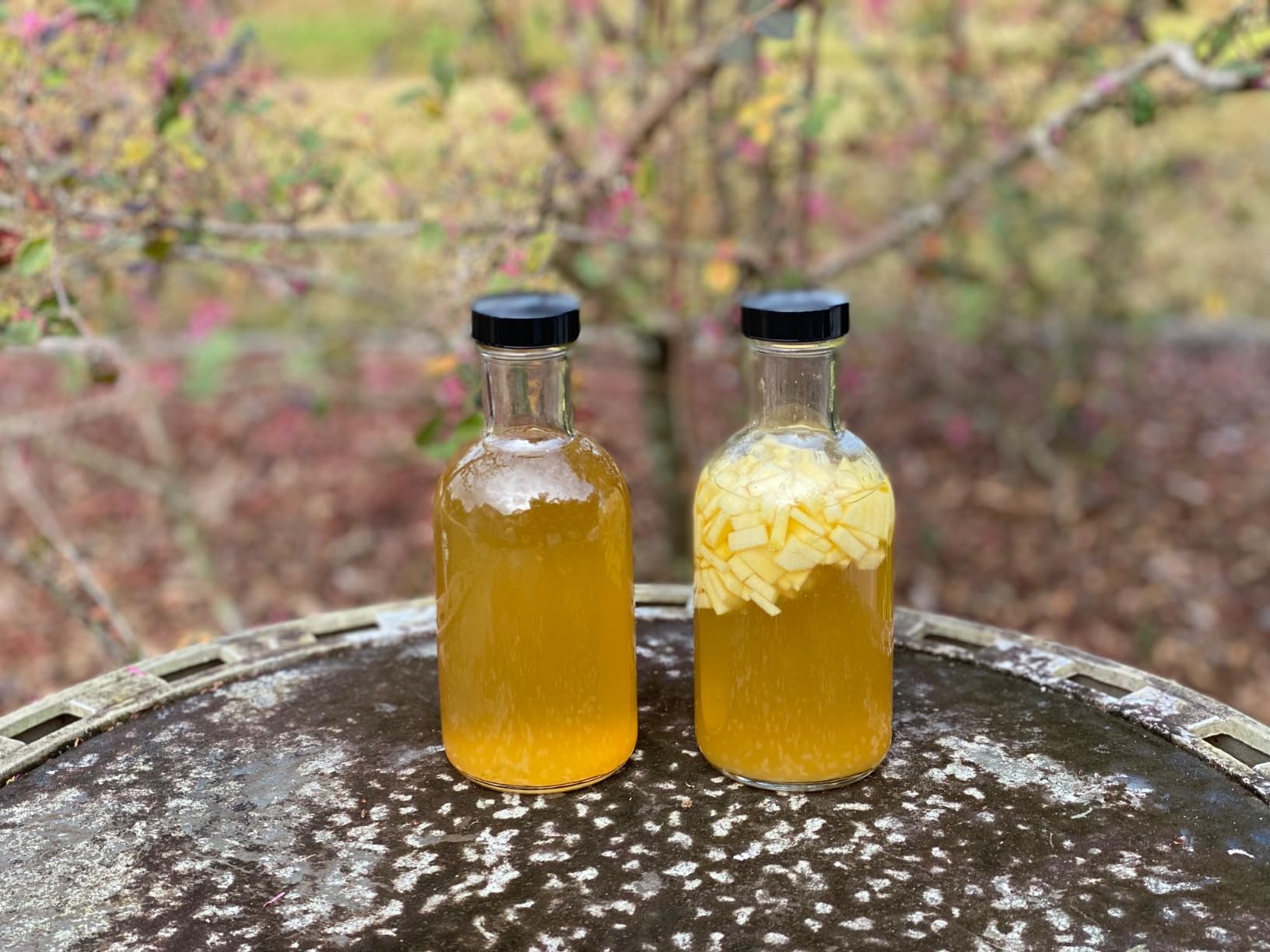 Fermentaholics Kombucha Bottling Kit - 7 Glass Bottles, Stainless Steel Funnel & Cleaning Brush - Airtight, High-Pressure Bottles for Kombucha, Water Kefir, Ginger Beer & More customer photo 1