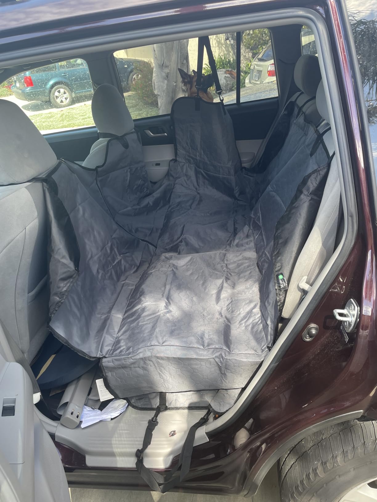 Mancro Dog Car Seat Cover for Back Seat, 2026 Upgraded 600D Heavy Duty Waterproof & Scratch-Resistant Dog Hammock for Car, Back Seat Pet Cover for Dogs with Sedan, Trucks and SUVs, Standard, Black customer photo 1