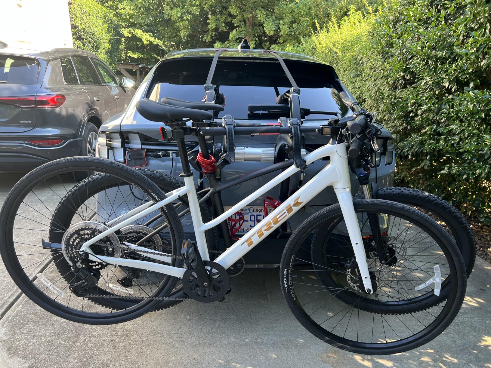 Saris Bones EX 2-Bike Trunk Rack Bicycle Carrier, Durable, Rust-Free, Anti-Sway Straps, Made in USA, Arc-Based Design customer photo 1