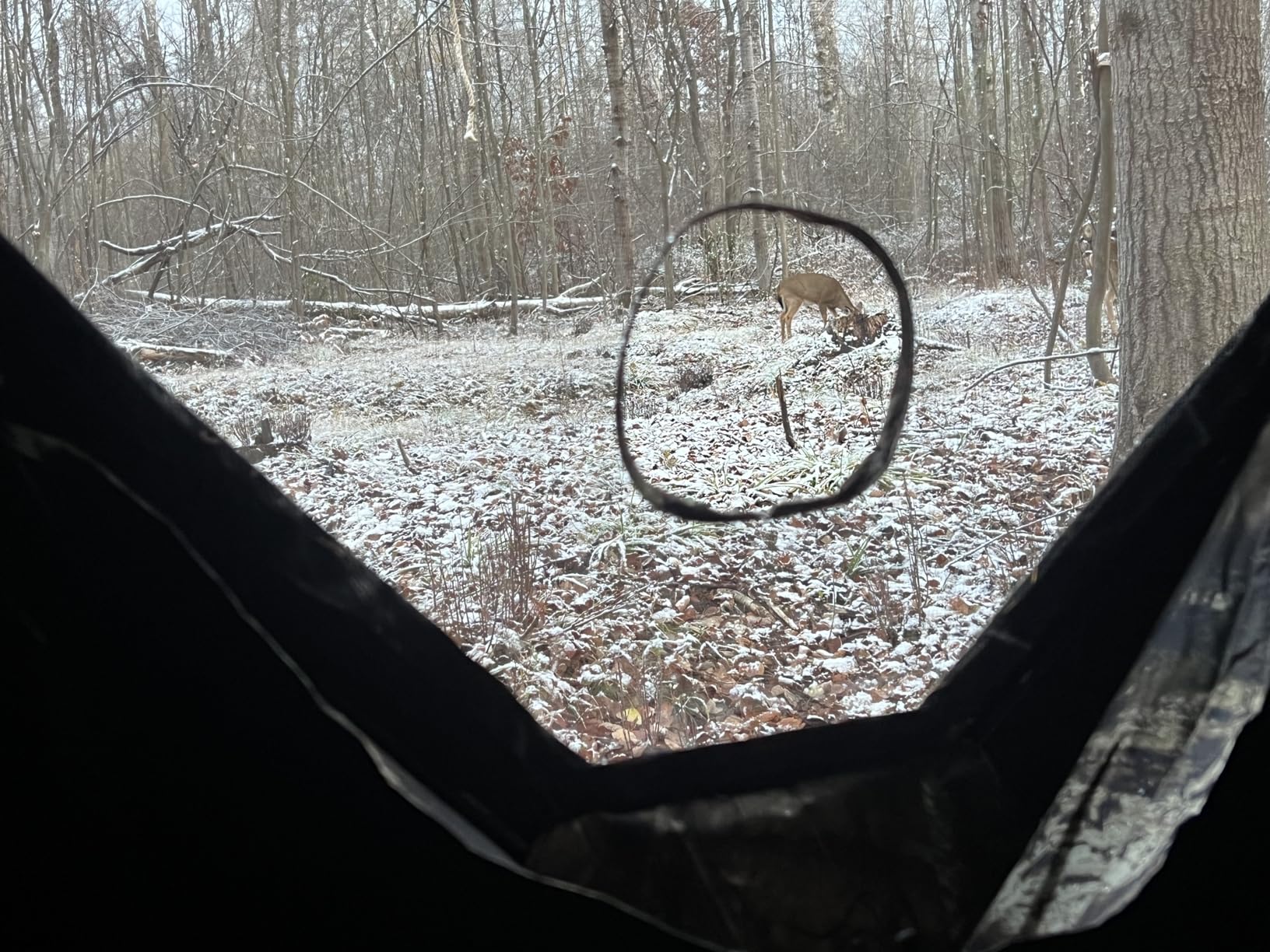 Ameristep Brickhouse Hunting Blind | 3-Person Ground Blind in Mossy Oak Break-Up Country customer photo 2