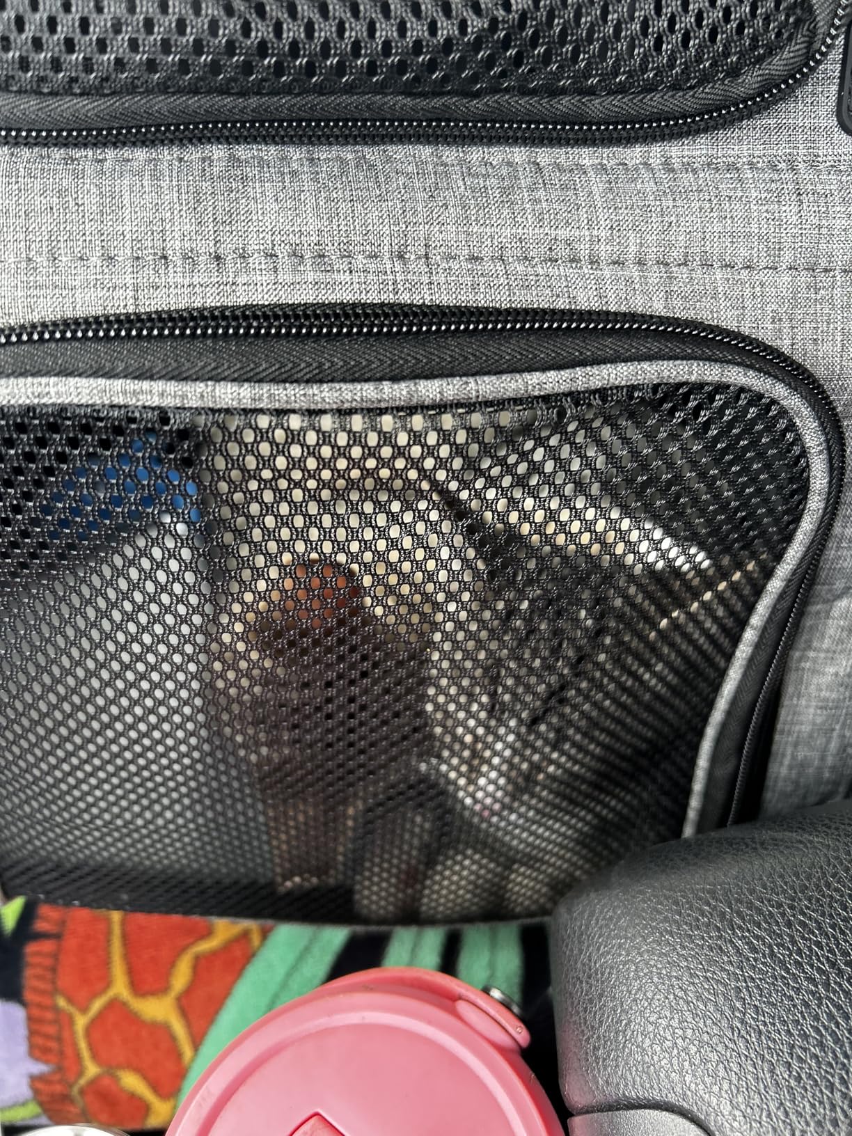 Pecute Cat Backpack Carrier Expandable, Foldable Pet Backpack for Cats & Small Dogs Up to 11lbs, 4-Side Breathable Mesh customer photo 1