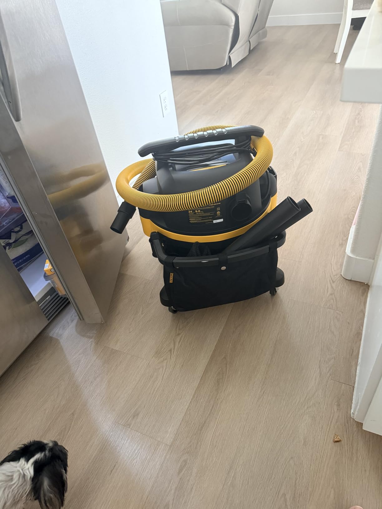 DEWALT 9 Gallon Wet/Dry VAC with Blower Function, DXV09PA customer photo 2
